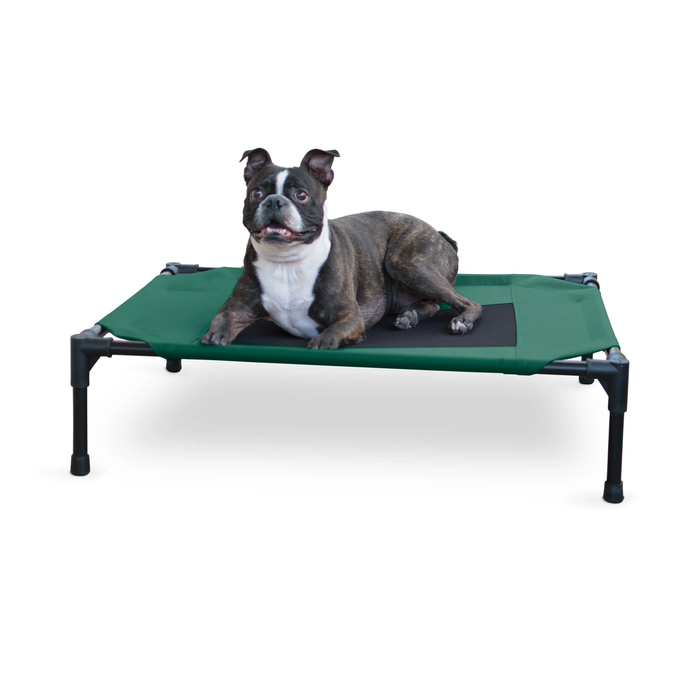 Cama Elevada para Perros Original Pet Cot - Colores y Tallas (Chica, Mediana, Grande, Extra Grande y Jumbo) | K&H