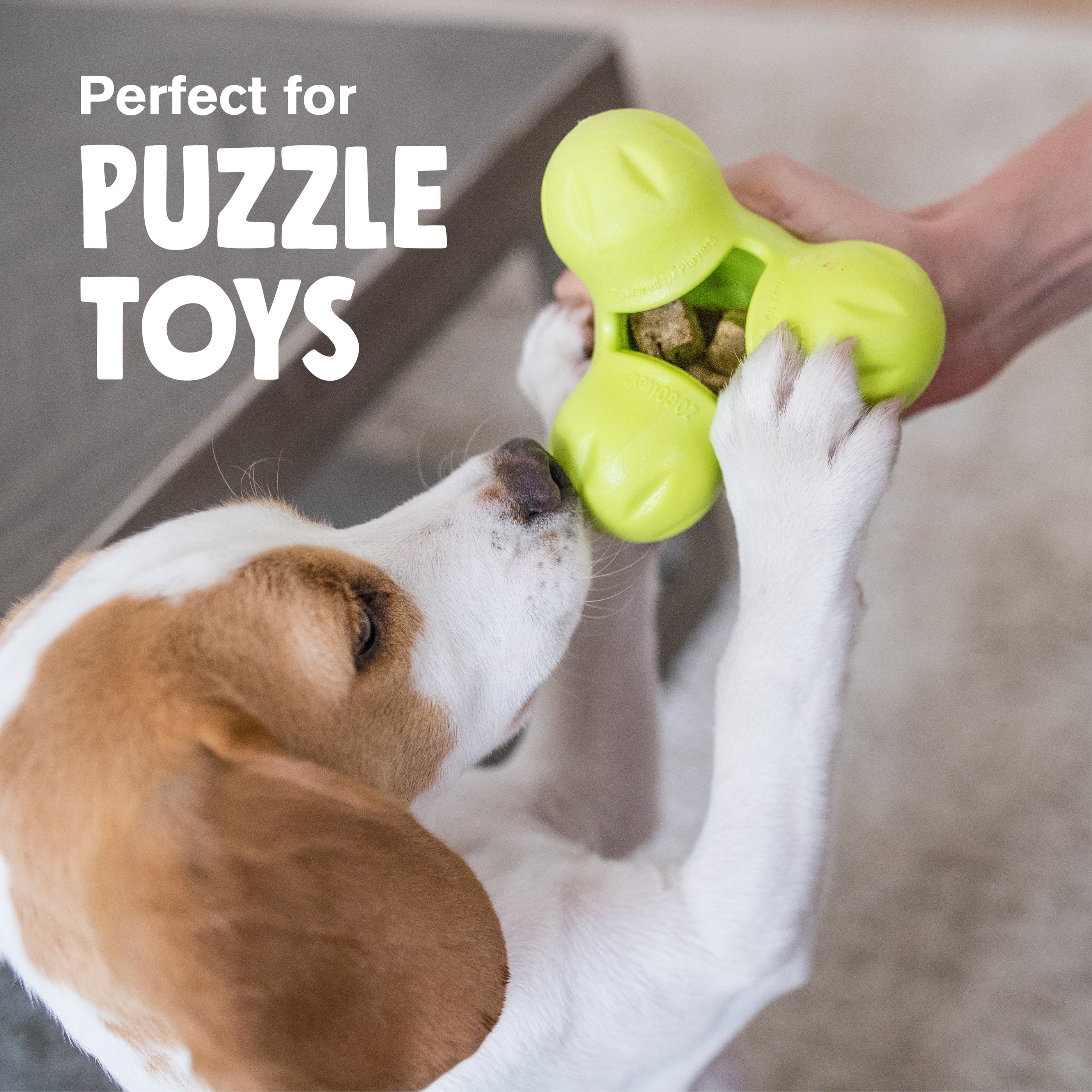 Premio Liofilizado de Corazón de Res para Perros - 100% Natural | West Paw