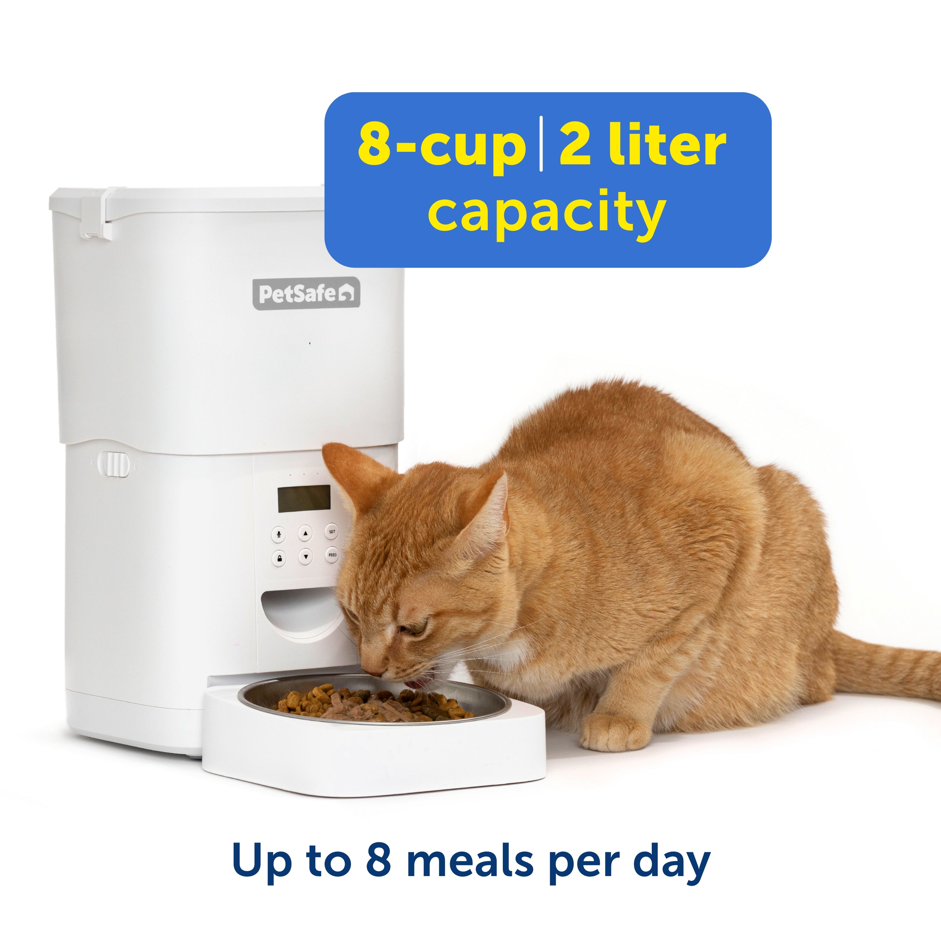 FlexFeed Automatic Pet Feeder | Comedero Automático Inteligente para Gatos y Perros Pequeños - PetSafe®