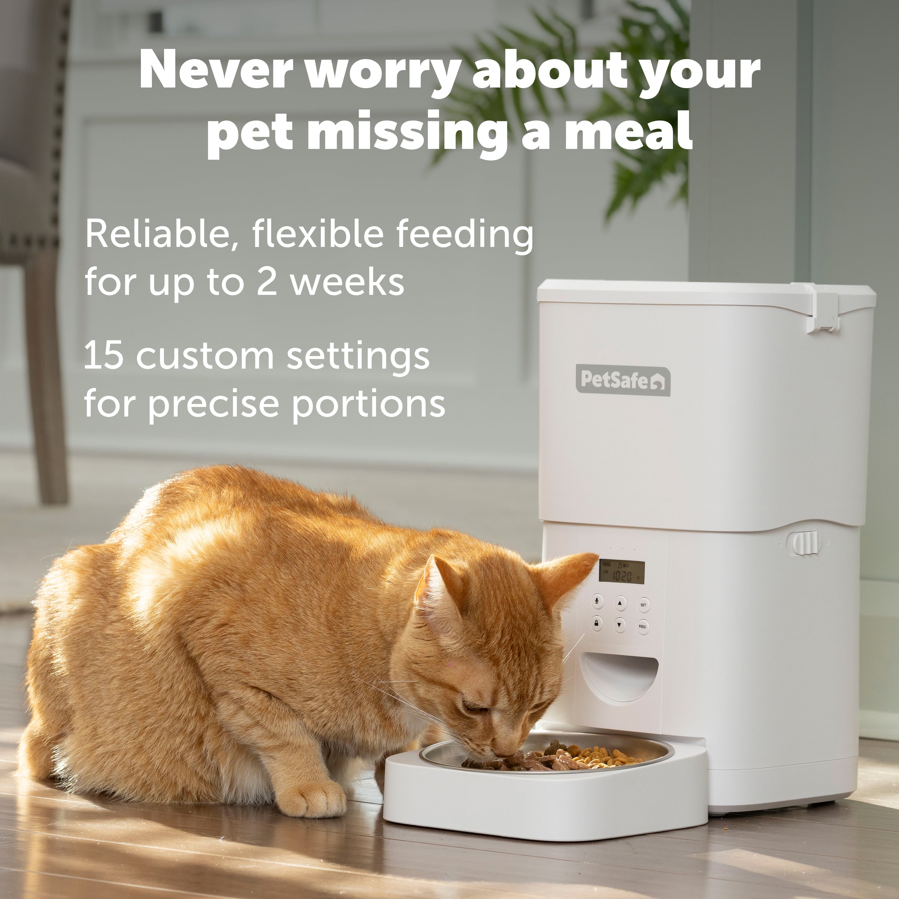 FlexFeed Automatic Pet Feeder | Comedero Automático Inteligente para Gatos y Perros Pequeños - PetSafe®