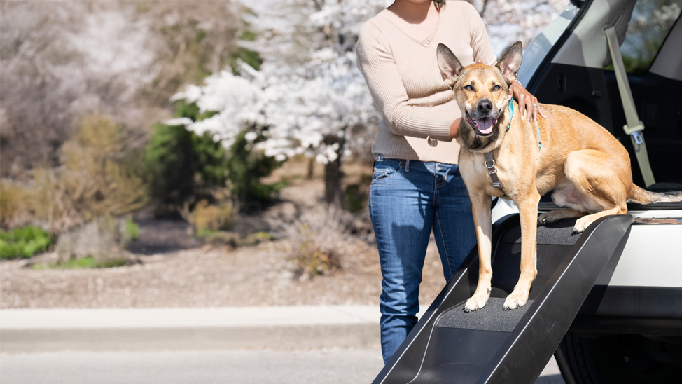 Escalera Lateral Ajustable Happy Ride® para Perros - Negra (Black) | PetSafe