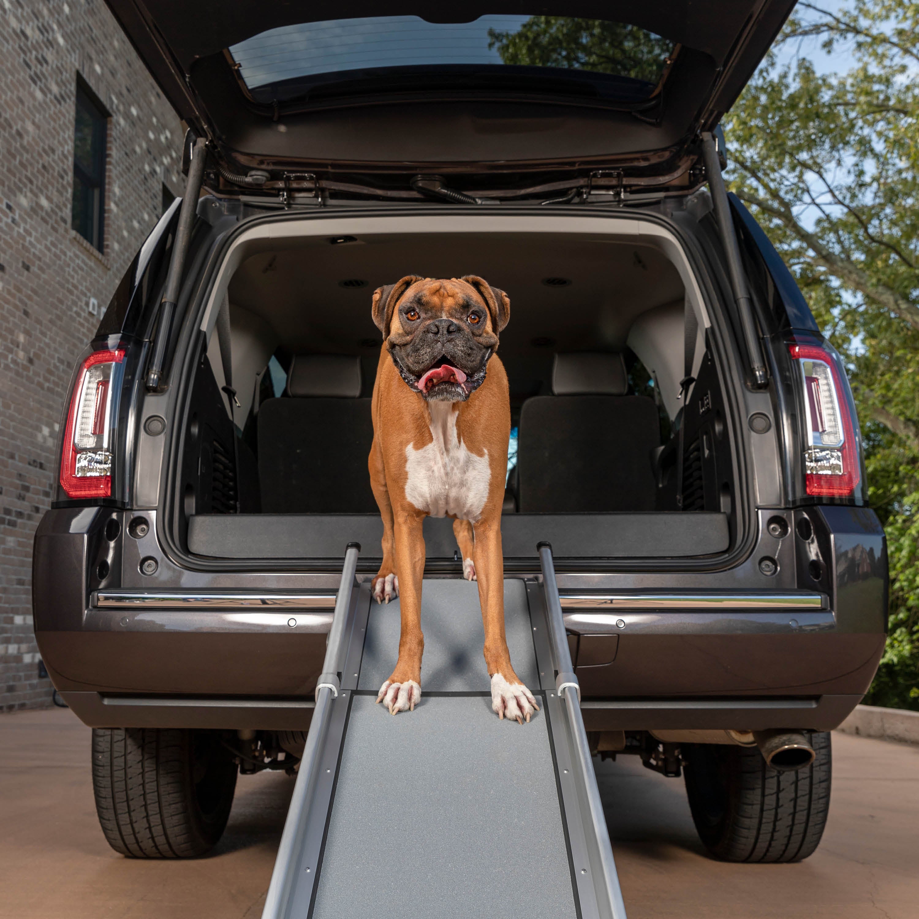 Happy Ride® Compact Telescoping Dog Ramp | Rampa Telescópica Compacta para Perros - PetSafe®