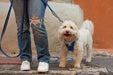 Pechera Sierra CloudVest Rojo Coral en las calles de San Miguel de Allende
