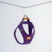 Pechera Sierra CloudVest Morado Índigo vista colgada