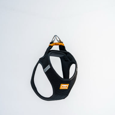 Pechera Sierra CloudVest Negro Carbón foto principal