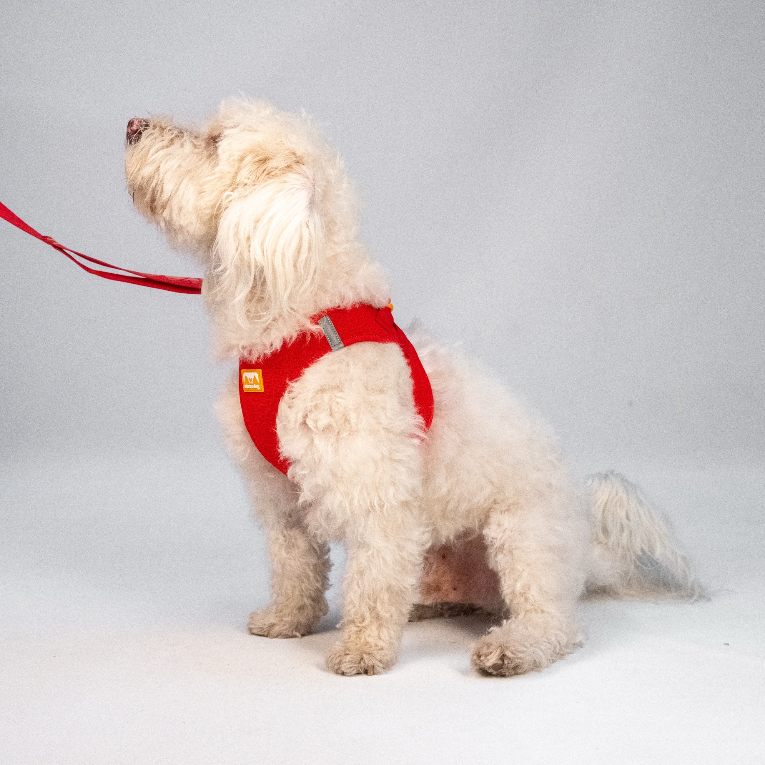 Pechera Sierra CloudVest Rojo Coral en uso (estudio)