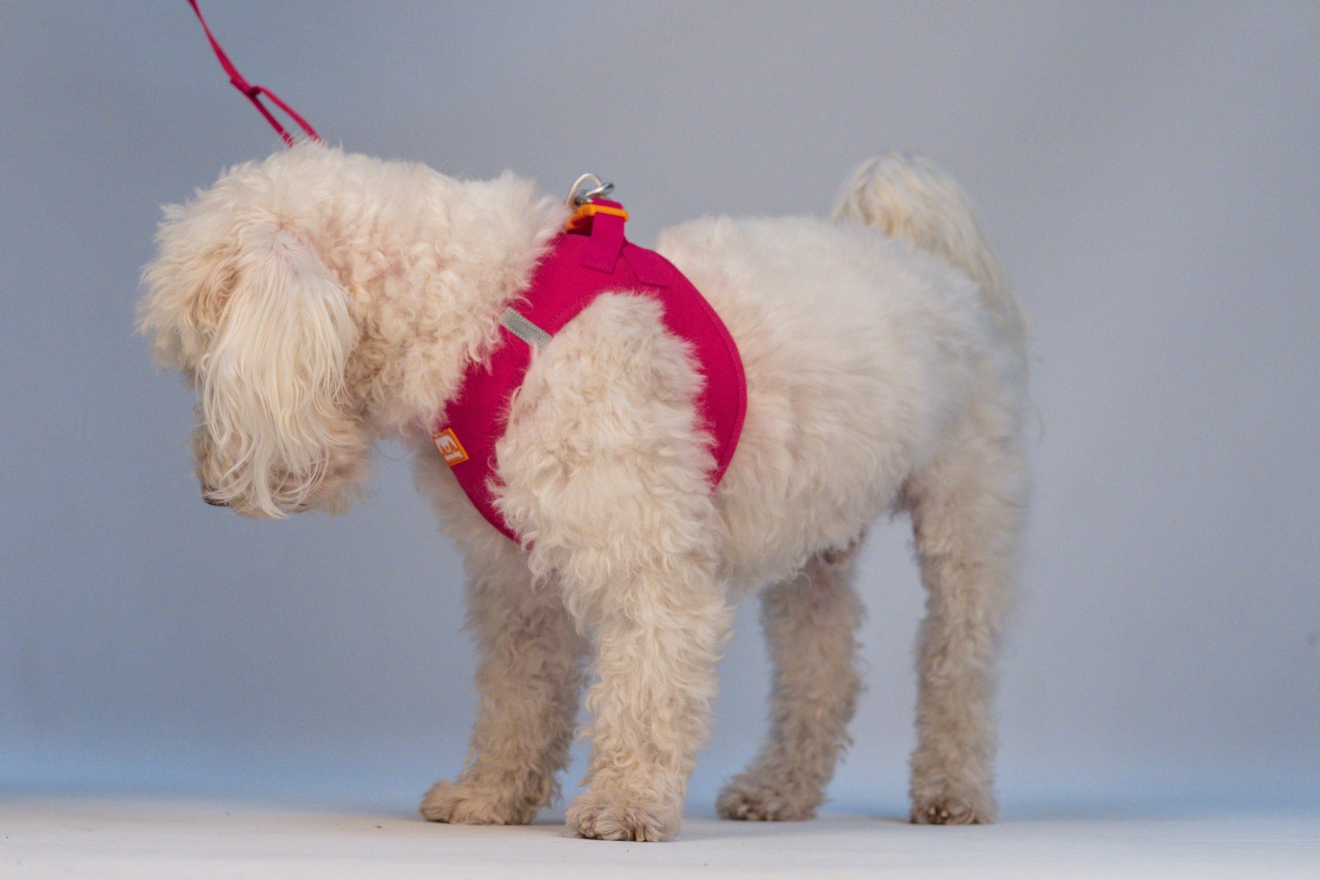 Pechera Sierra CloudVest Rosa Magenta en uso (estudio)