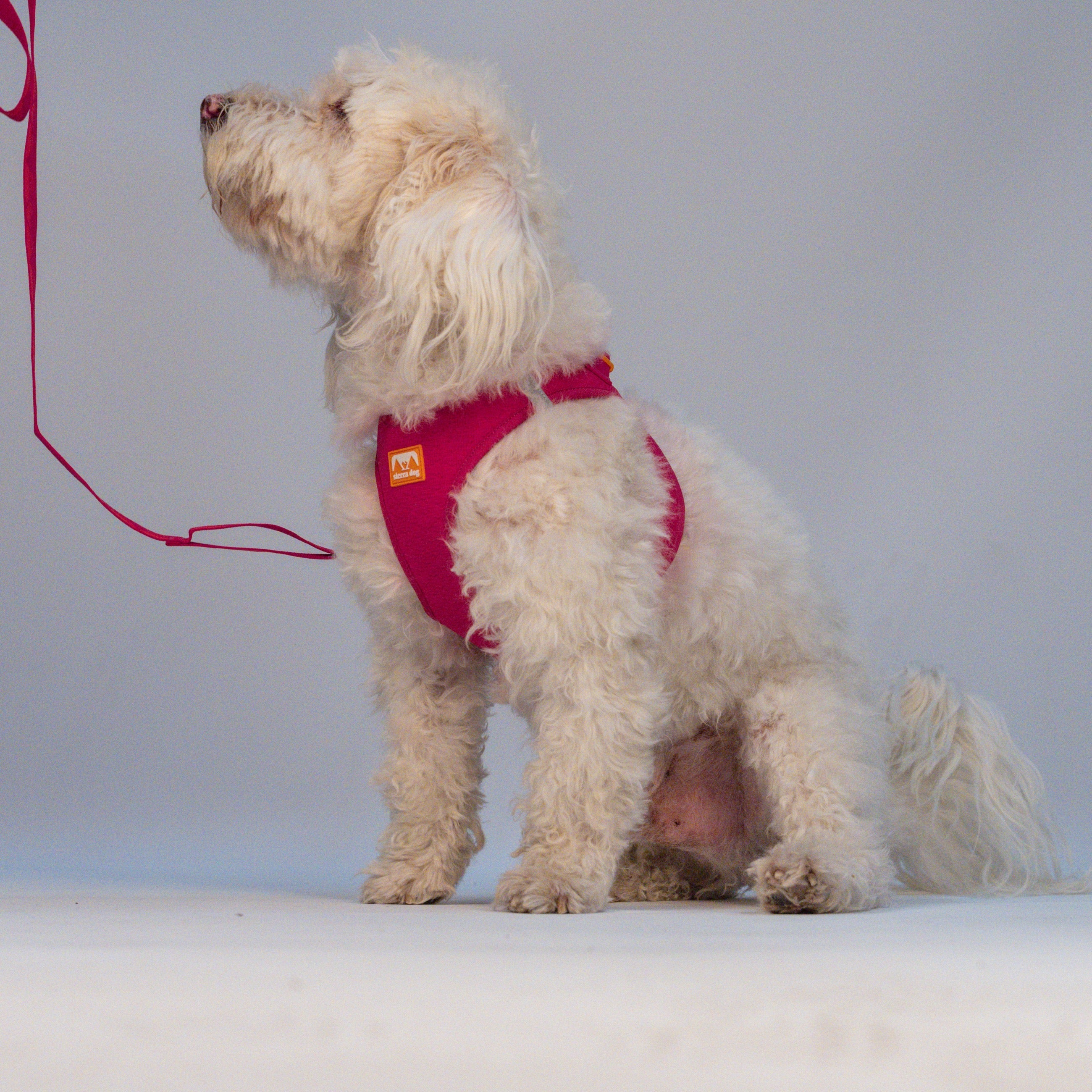 Pechera Sierra CloudVest Rosa Magenta en uso (estudio)