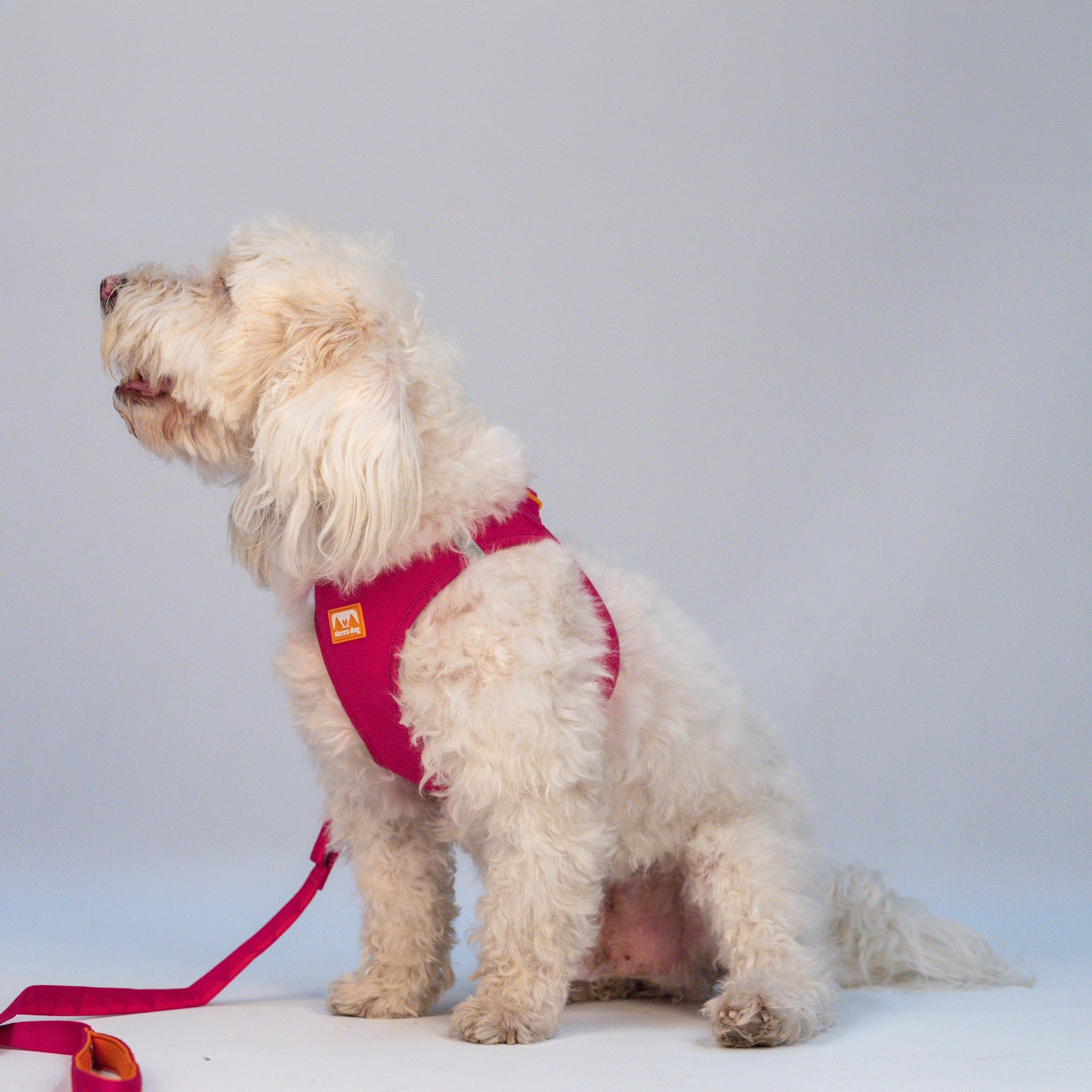 Pechera Sierra CloudVest Rosa Magenta en uso (estudio)