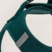 Pechera Sierra CloudVest Verde Jade banda reflejante