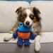 Perro jugando con la KONG Tropics Rattlez Frog