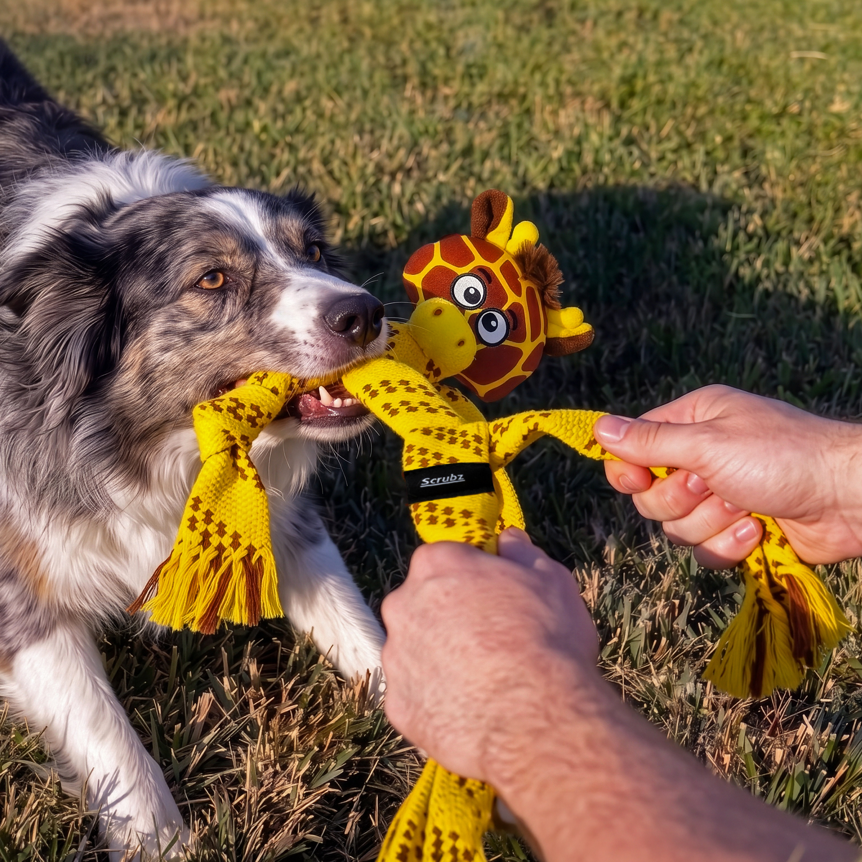 Perro jugando con el KONG Scrubz Safari Giraffe
