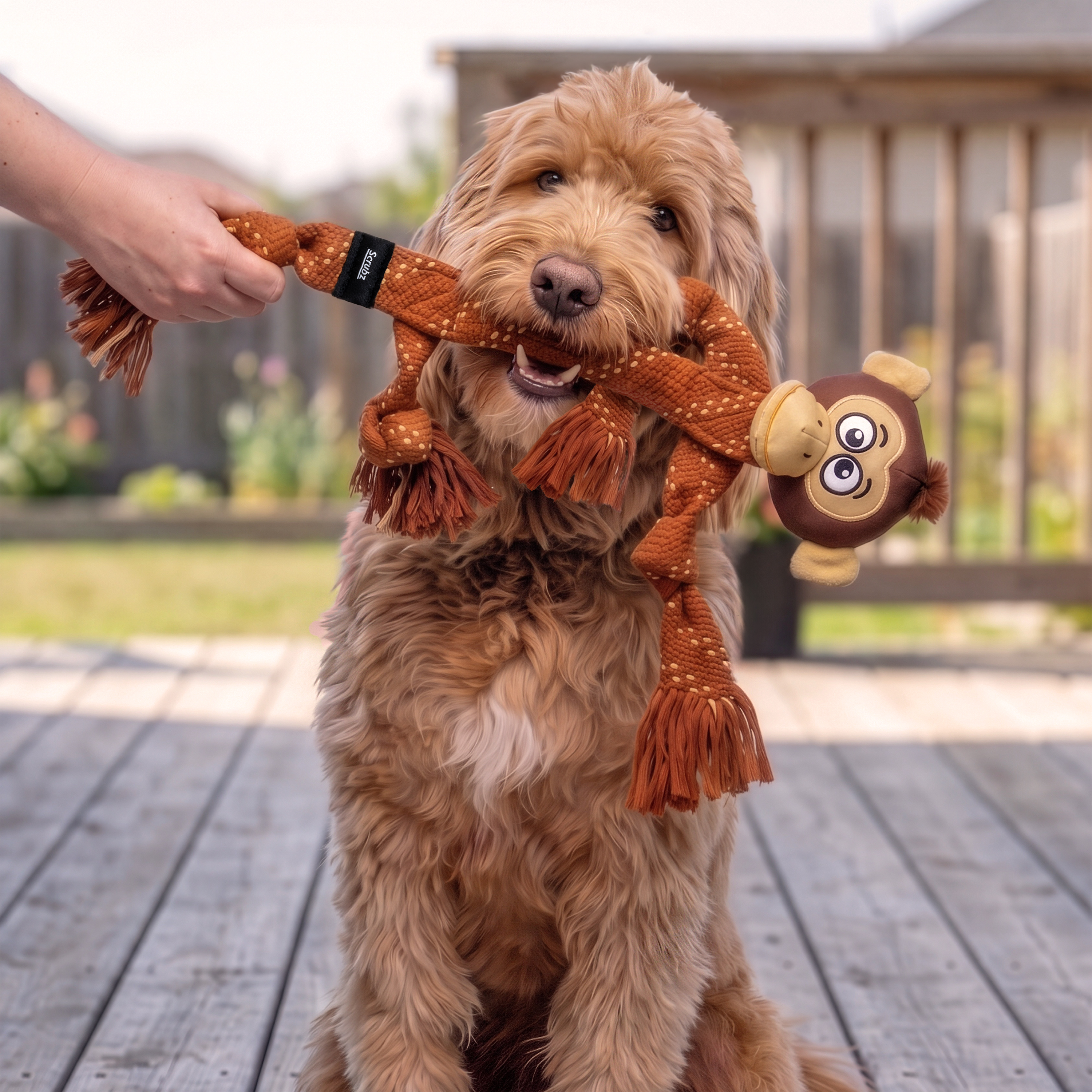 Perro jugando con el KONG Scrubz Safari Monkey