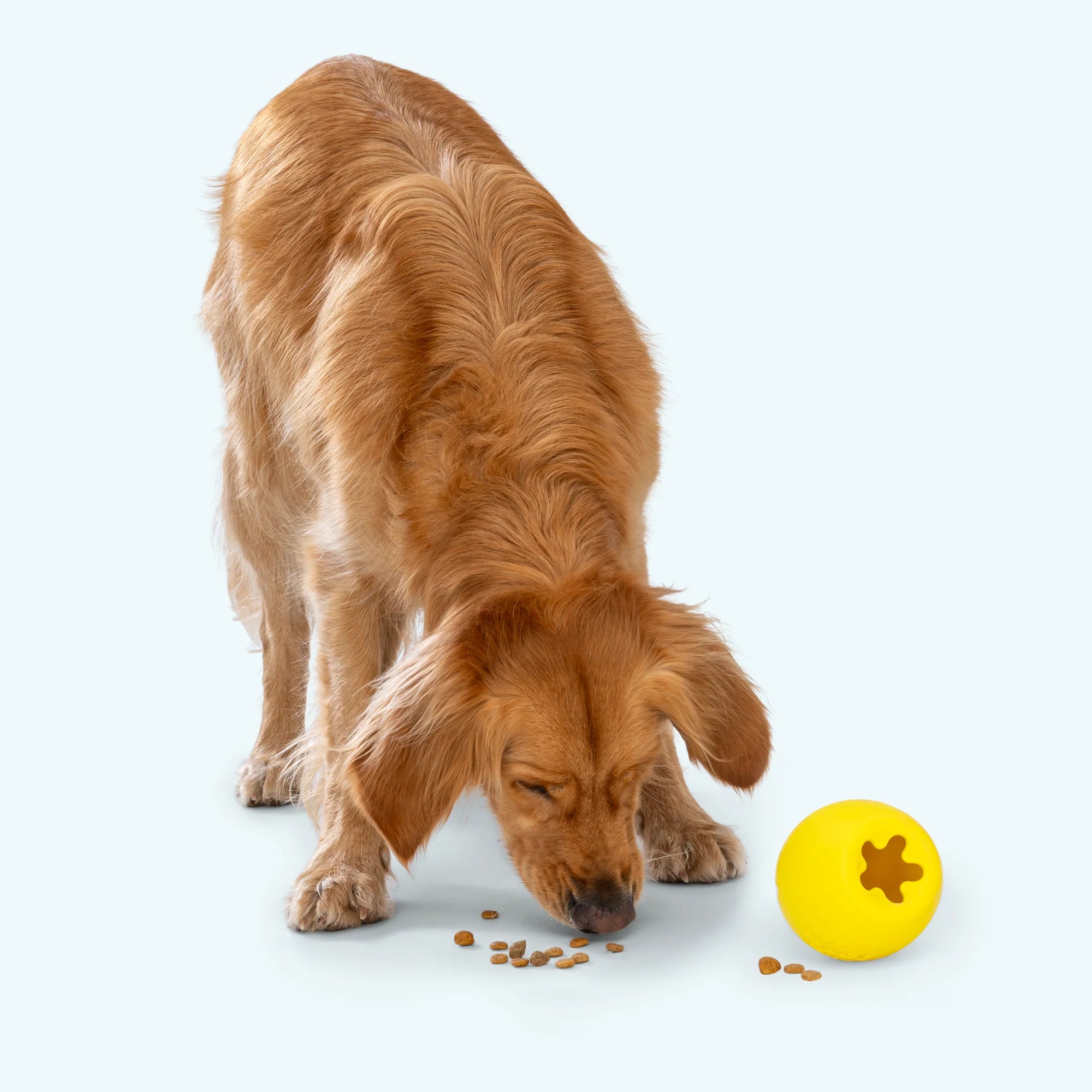 RUMBL de West Paw® color Azul Aqua (Aqua) – Juguete Dispensador de Premios y Croquetas para Perros