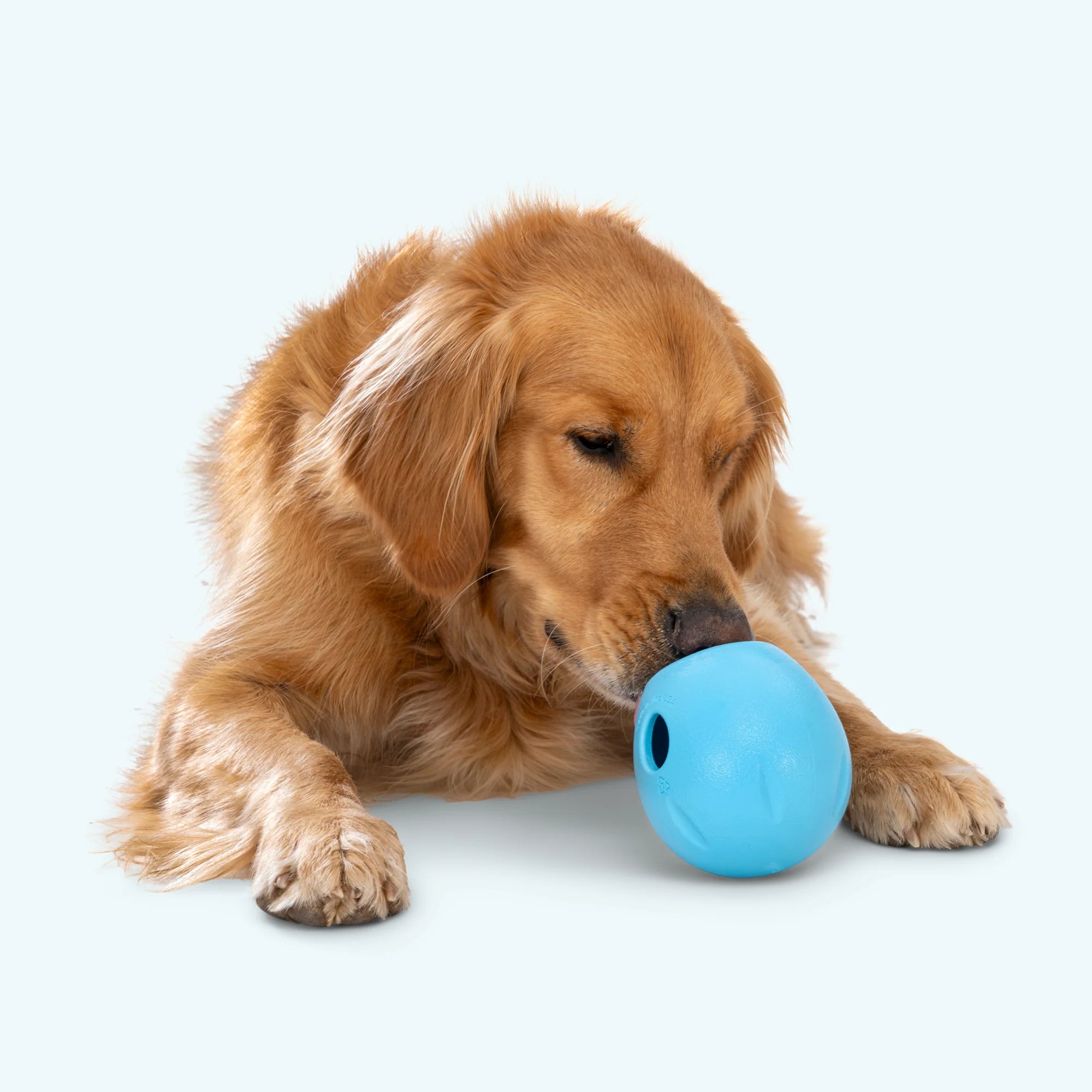 RUMBL de West Paw® color Azul Aqua (Aqua) – Juguete Dispensador de Premios y Croquetas para Perros