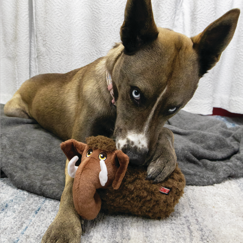 Perro jugando con el KONG Toughz Mammoth