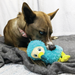 Perro jugando con el KONG Toughz Dodo