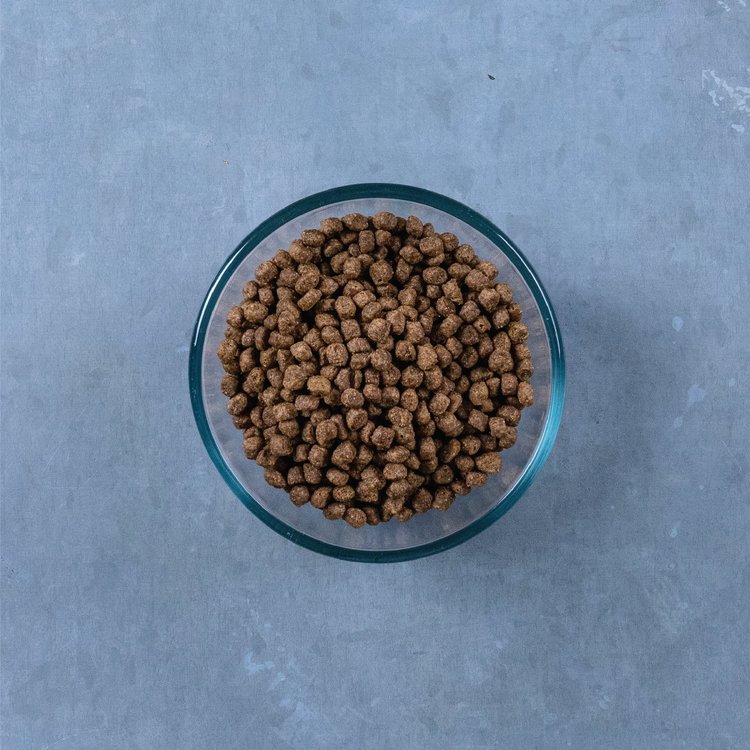 Croquetas sin grano para gatos “Free Spirit” de Triumph – Salmón & Garbanzo | Triumph