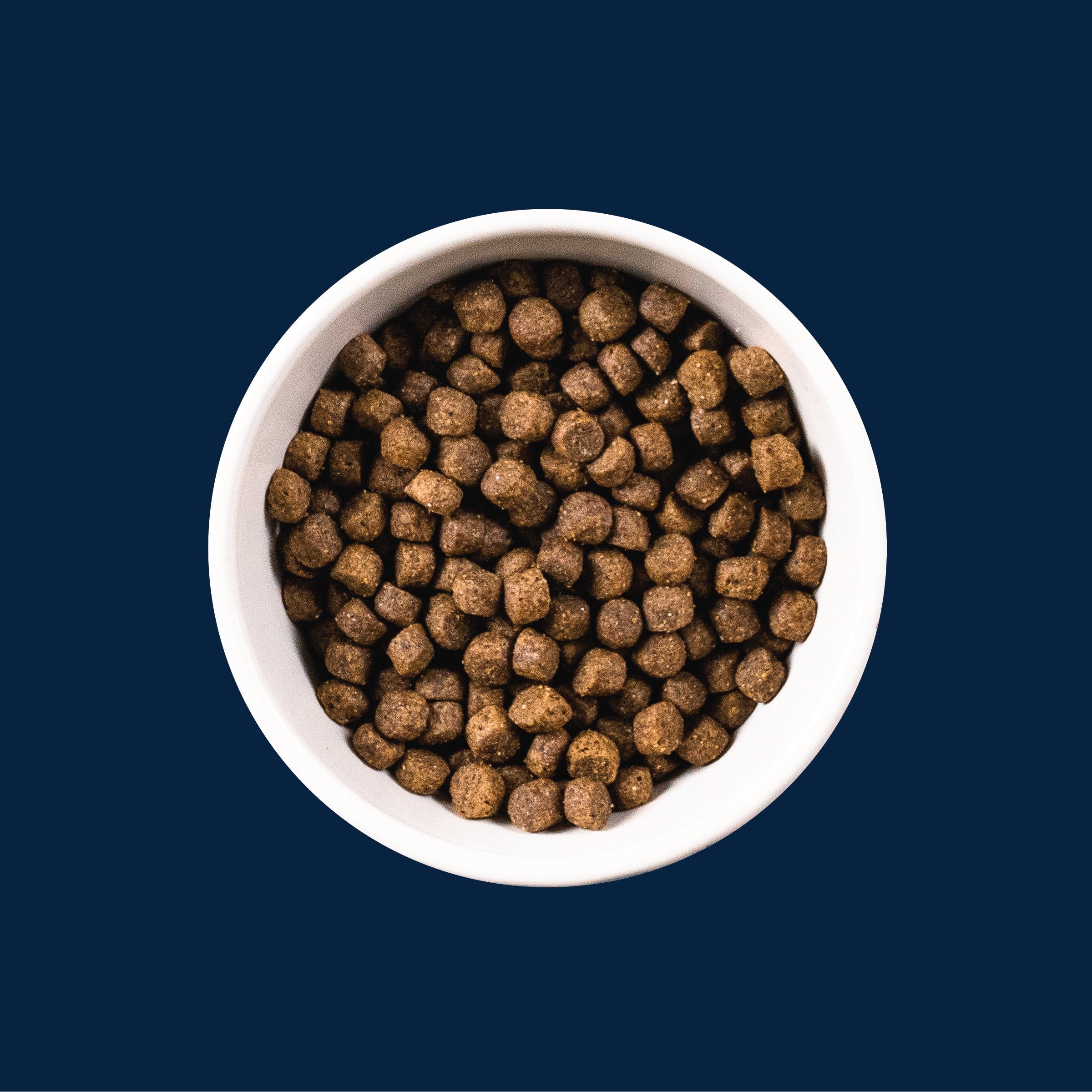 Croquetas sin grano para perros “Free Spirit” de Triumph – Pollo, Zanahoria & Arándano | Triumph