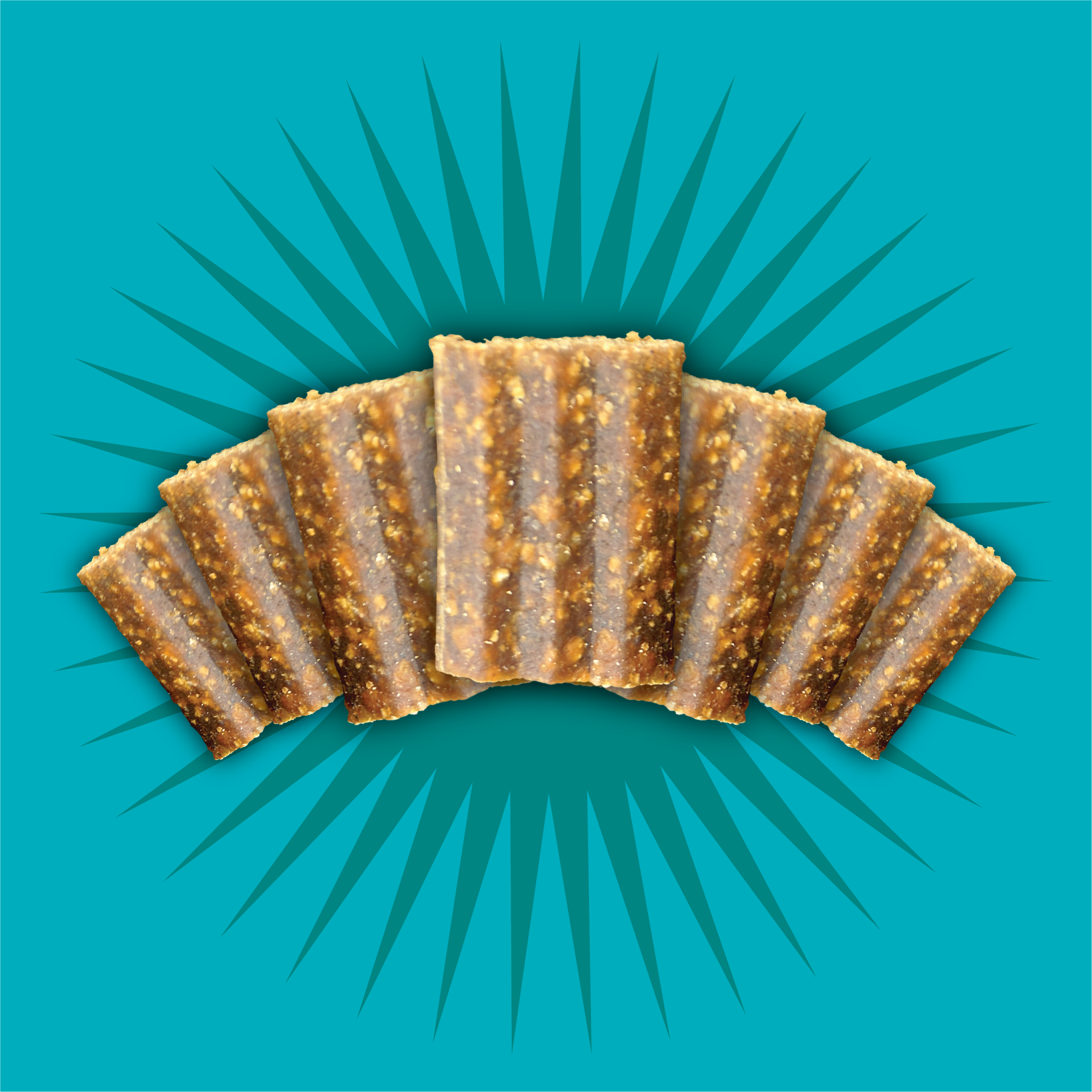 Premio tipo Jerky sin grano “Free Spirit” – Pato, Vegetales & Arándano | Triumph