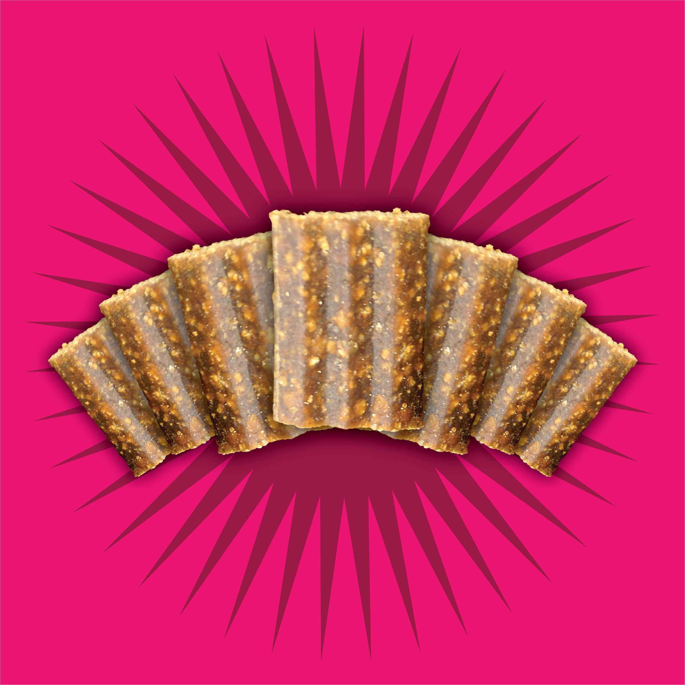 Premio tipo Jerky sin grano “Free Spirit” – Salmón & Vegetales | Triumph