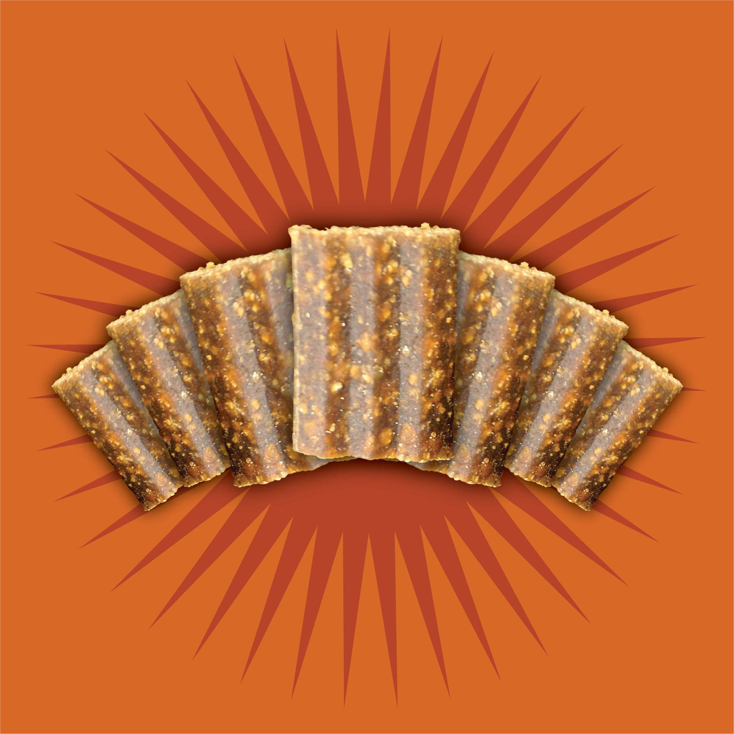 Premio tipo Jerky sin grano “Free Spirit” – Pavo, Vegetales & Arándano | Triumph