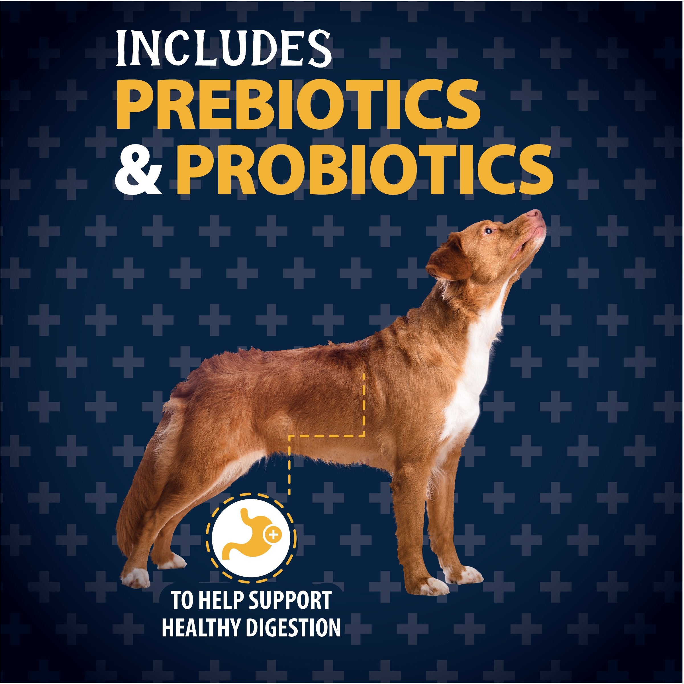 Croquetas sin grano para perros “Free Spirit” de Triumph – Pavo & Camote | Triumph