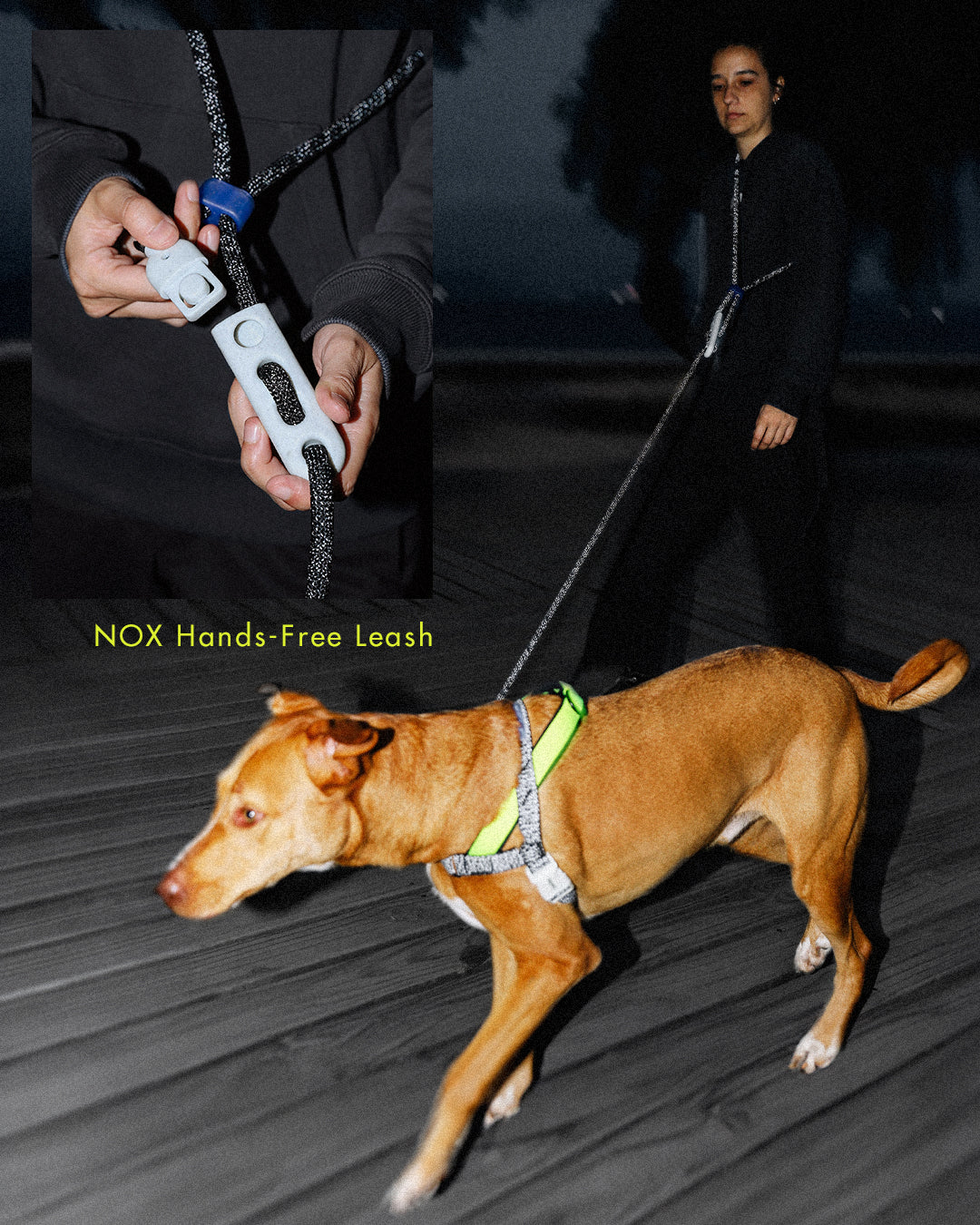 Correa para Perros Nox - Hands-Free Leash Zee.Dog