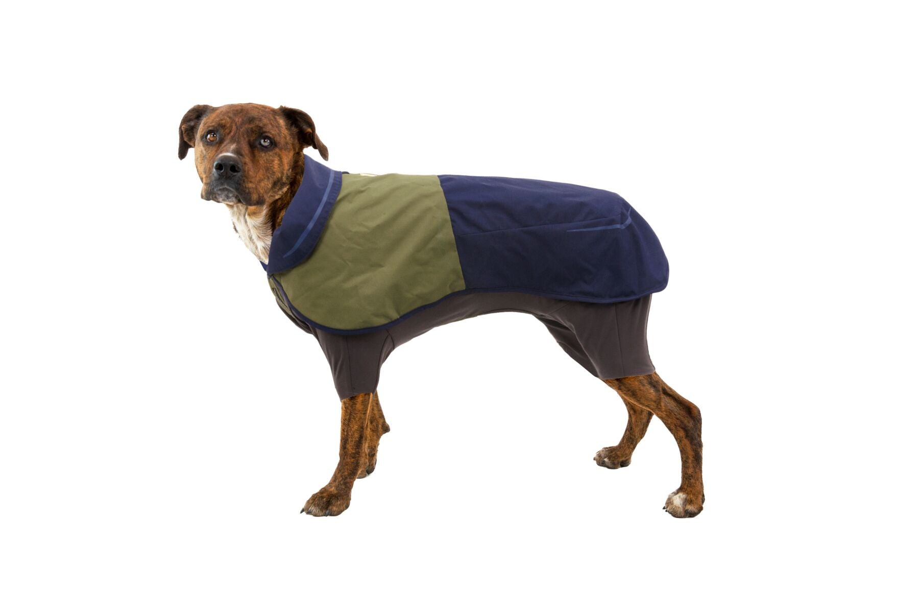 Impermeable Sun Shower™ Coverall (Overall) para Perros - Cobertura Completa y Mangas StormSleeves™ - Verde (Campfire Green) & Azul (Aurora Teal) | Ruffwear®