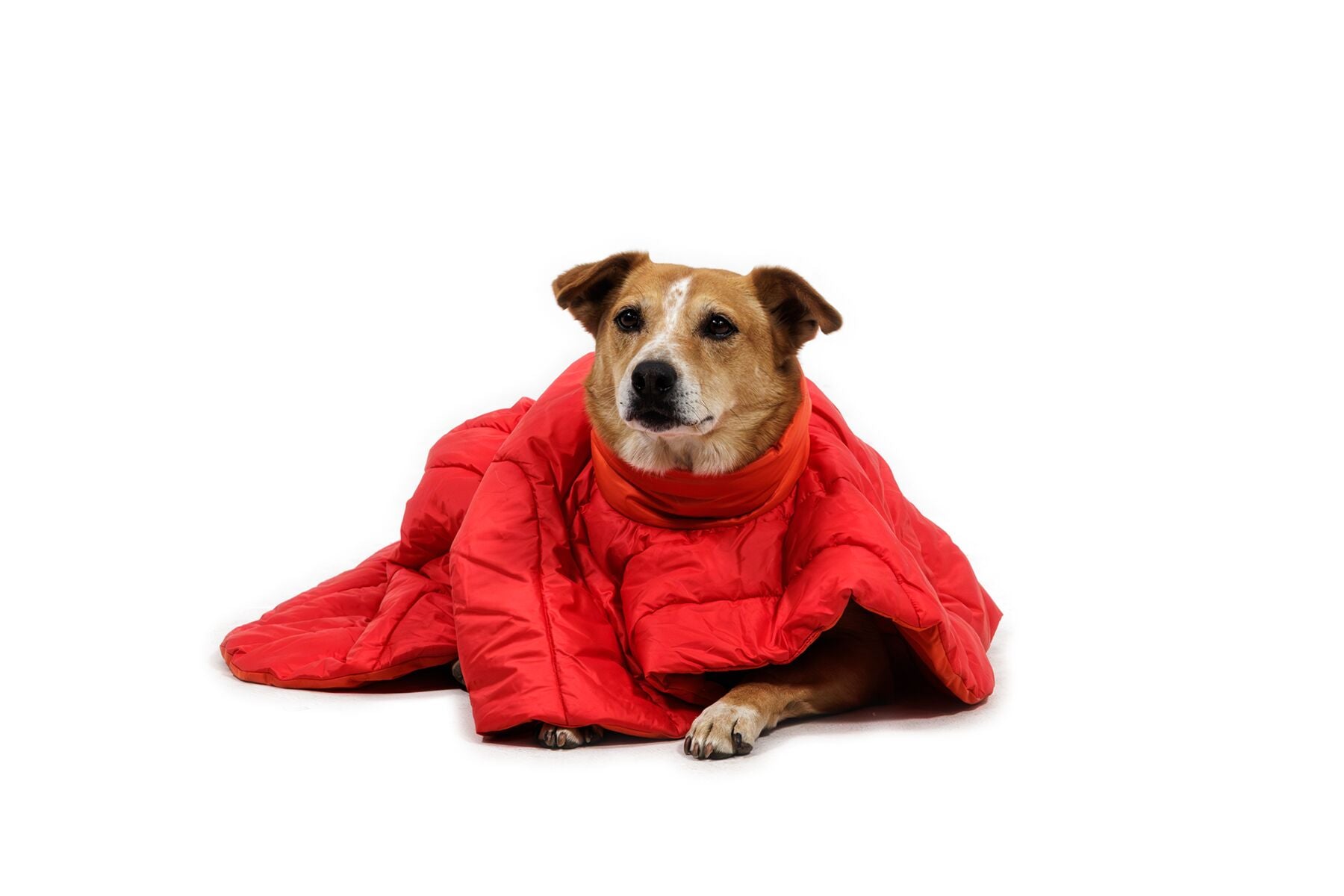 Poncho para Dormir Palisades™ Sleep Poncho en Rojo Grosella (Red Currant) | Ruffwear