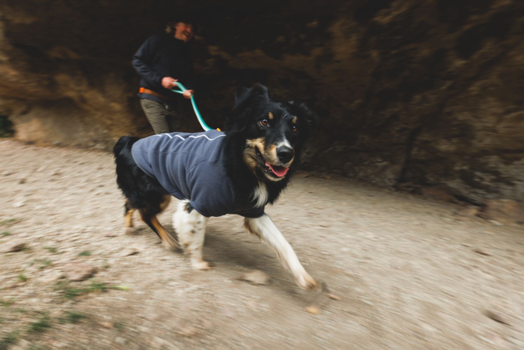 Climate Changer™ Suéter de Felpa Polar para Perros - Gris Basalto (Basalt Gray) | Ruffwear