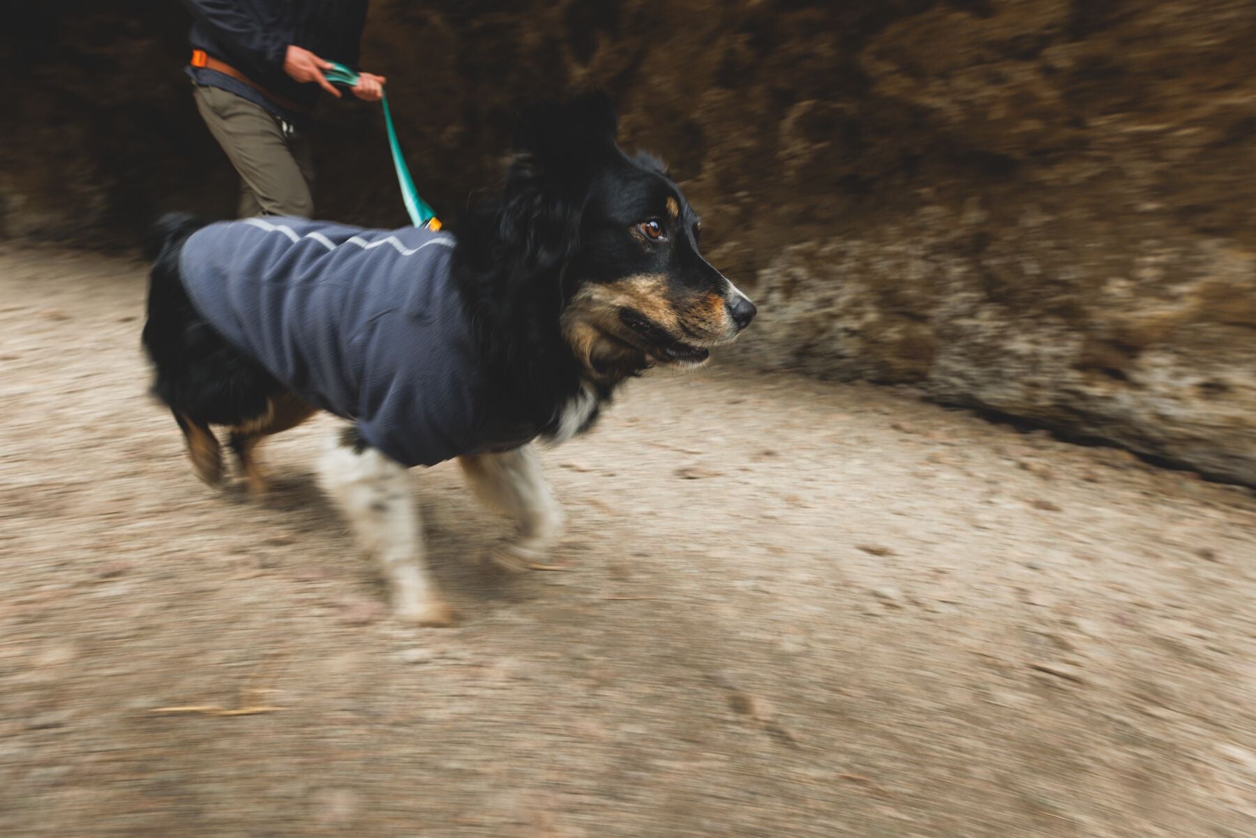 Climate Changer™ Suéter de Felpa Polar para Perros - Gris Basalto (Basalt Gray) | Ruffwear