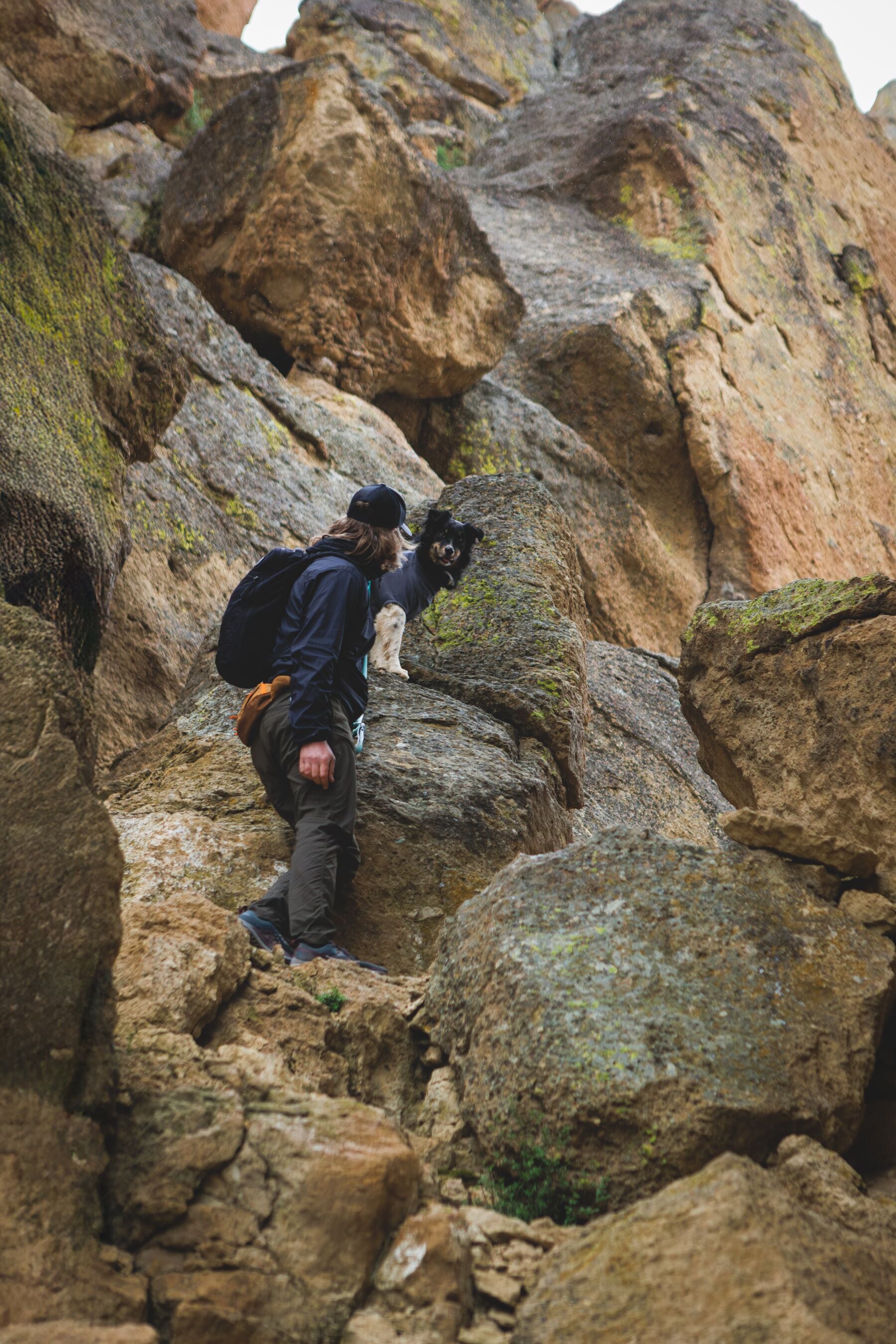 Climate Changer™ Suéter de Felpa Polar para Perros - Gris Basalto (Basalt Gray) | Ruffwear