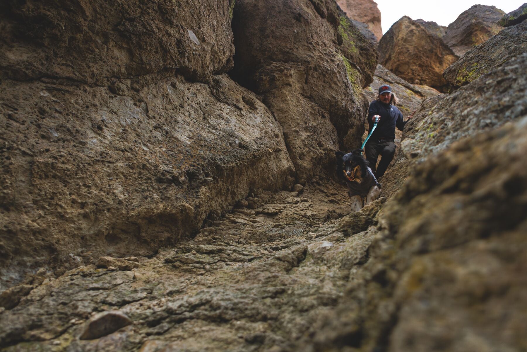 Climate Changer™ Suéter de Felpa Polar para Perros - Gris Basalto (Basalt Gray) | Ruffwear