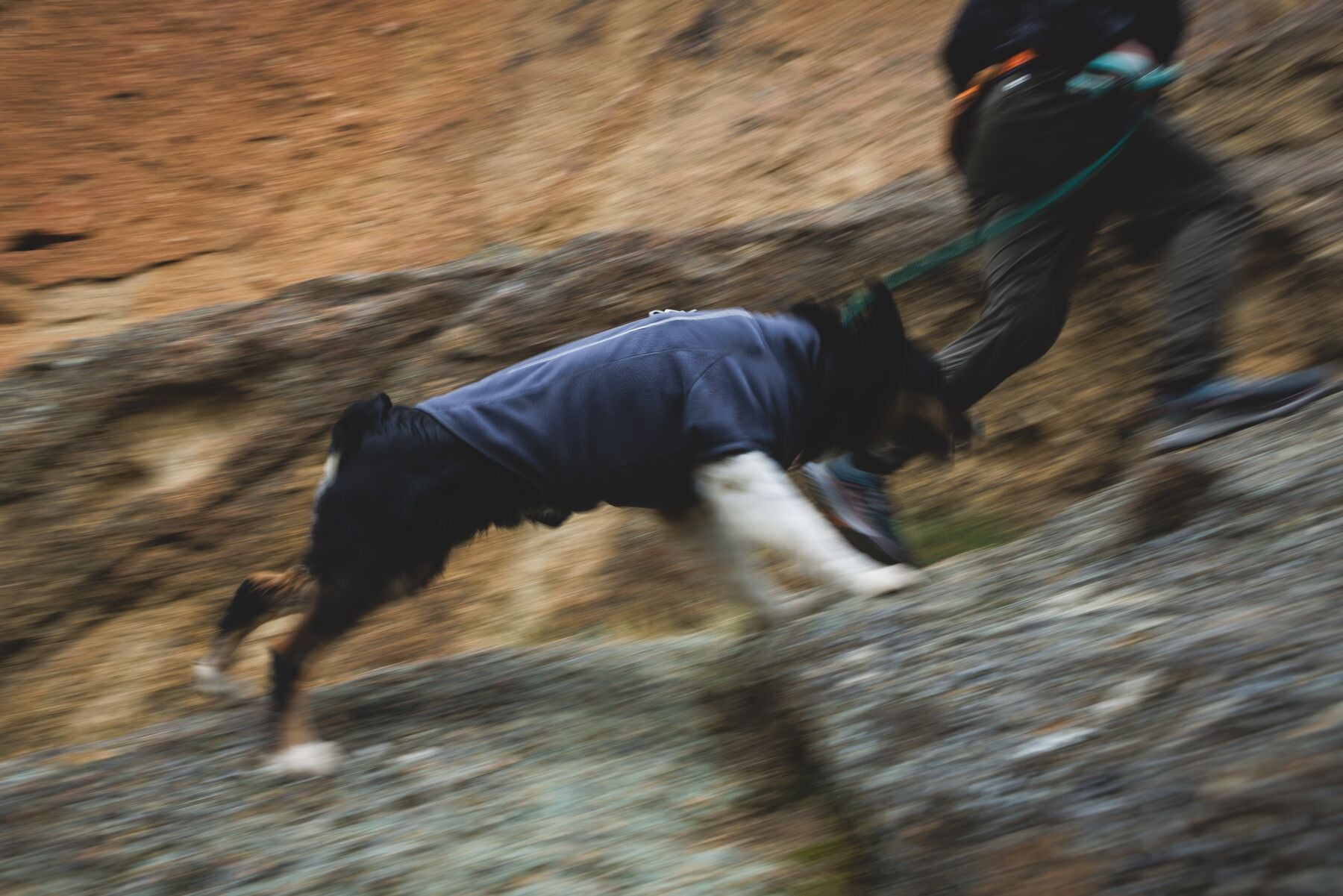 Climate Changer™ Suéter de Felpa Polar para Perros - Gris Basalto (Basalt Gray) | Ruffwear