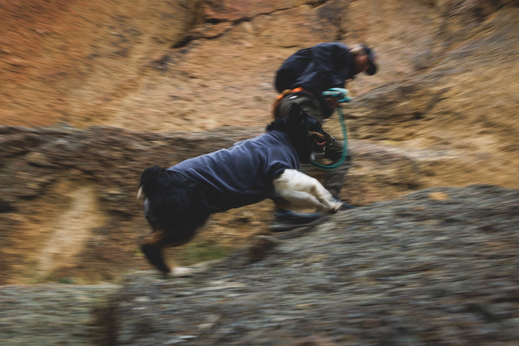 Climate Changer™ Suéter de Felpa Polar para Perros - Gris Basalto (Basalt Gray) | Ruffwear