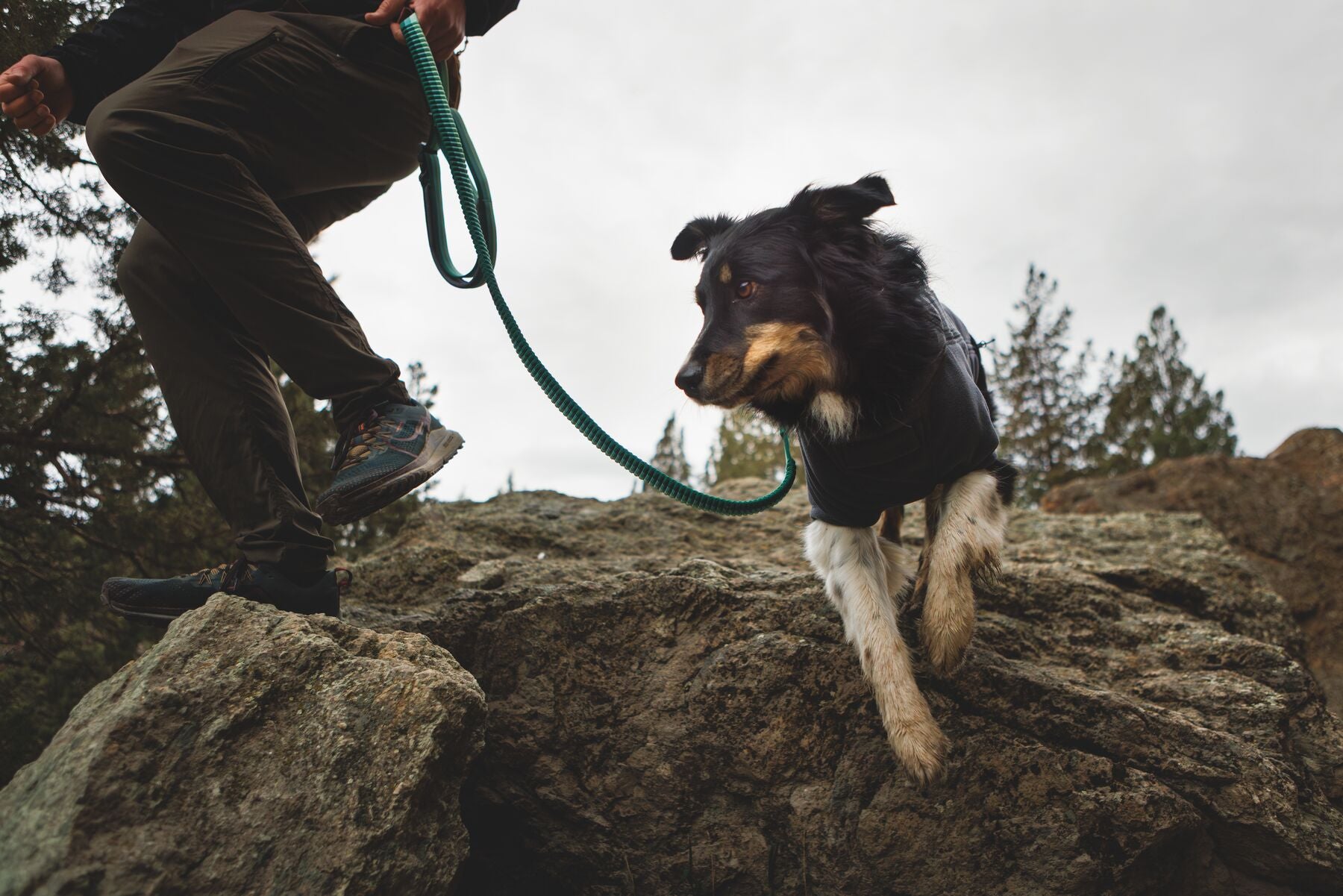 Climate Changer™ Suéter de Felpa Polar para Perros - Gris Basalto (Basalt Gray) | Ruffwear
