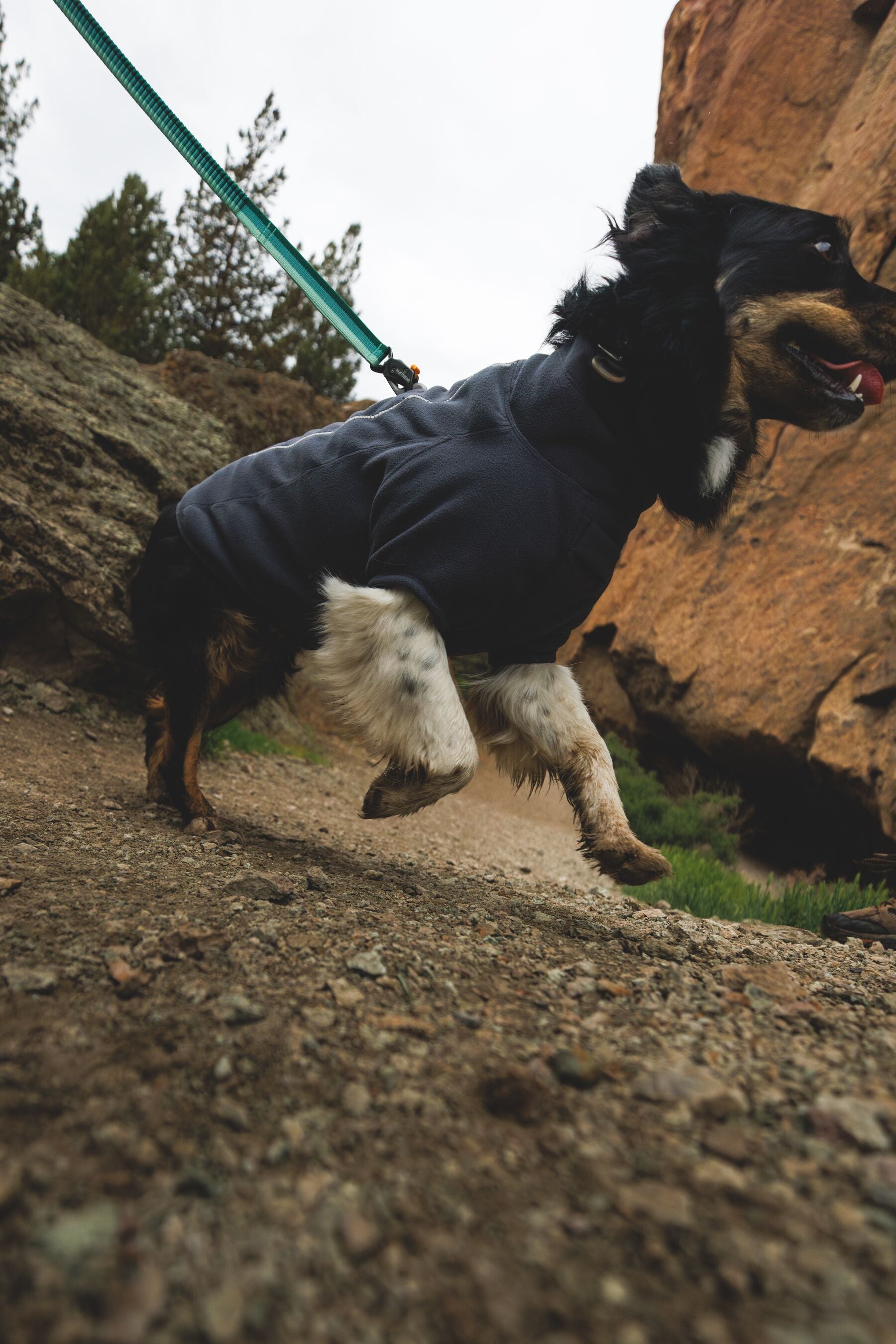 Climate Changer™ Suéter de Felpa Polar para Perros - Gris Basalto (Basalt Gray) | Ruffwear