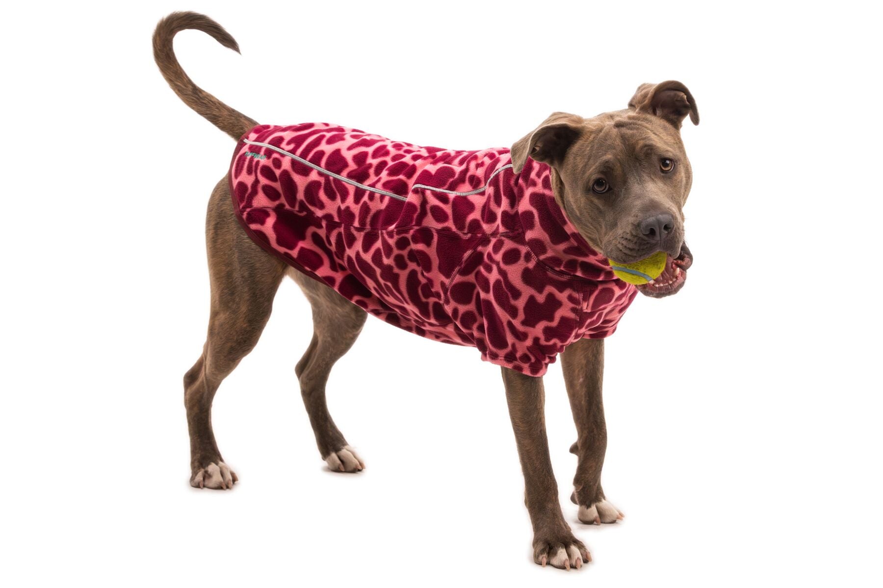 Climate Changer™ Suéter de Felpa Polar para Perros - Rosa Lava (Berry Lava) | Ruffwear