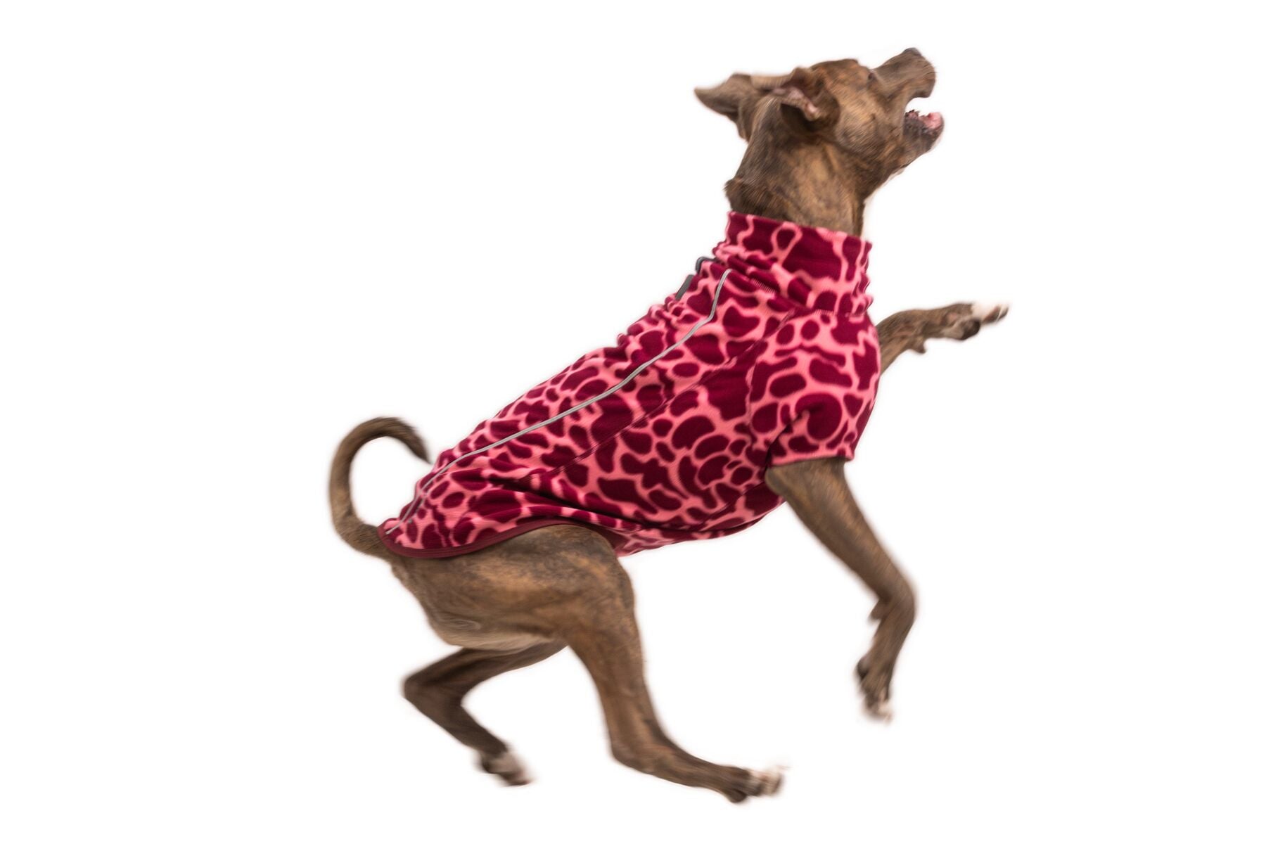 Climate Changer™ Suéter de Felpa Polar para Perros - Rosa Lava (Berry Lava) | Ruffwear
