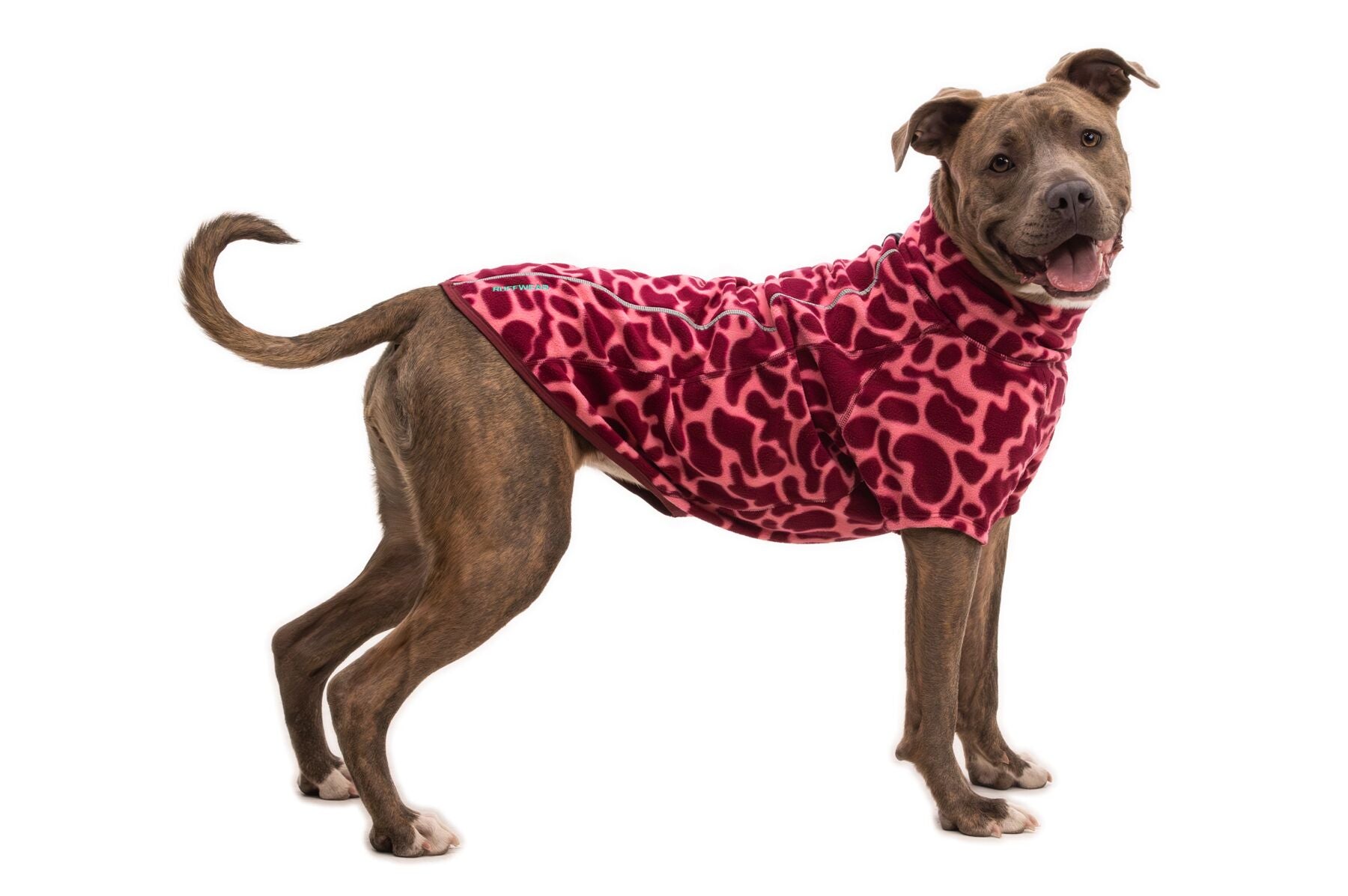 Climate Changer™ Suéter de Felpa Polar para Perros - Rosa Lava (Berry Lava) | Ruffwear