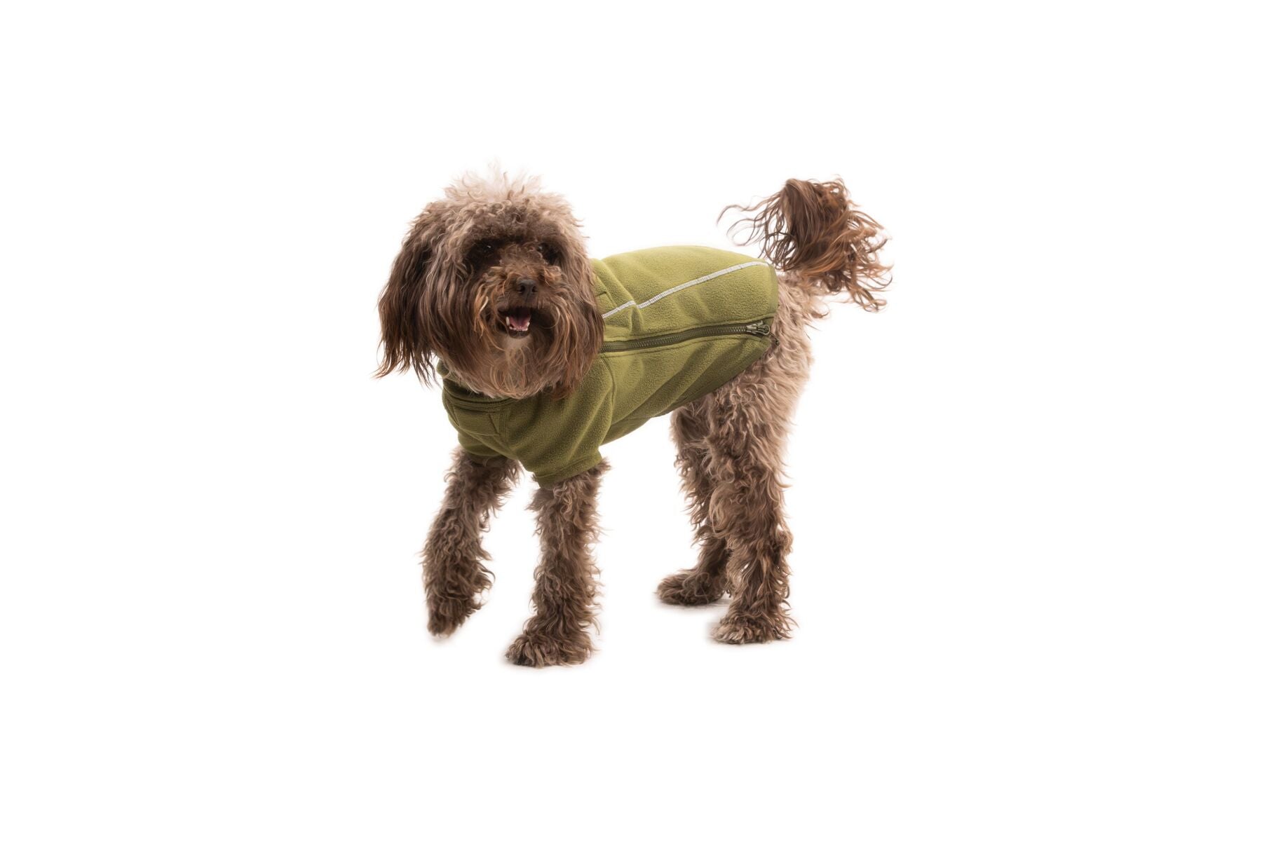 Climate Changer™ Suéter de Felpa Polar para Perros - Verde Cedro (Cedar Green) | Ruffwear