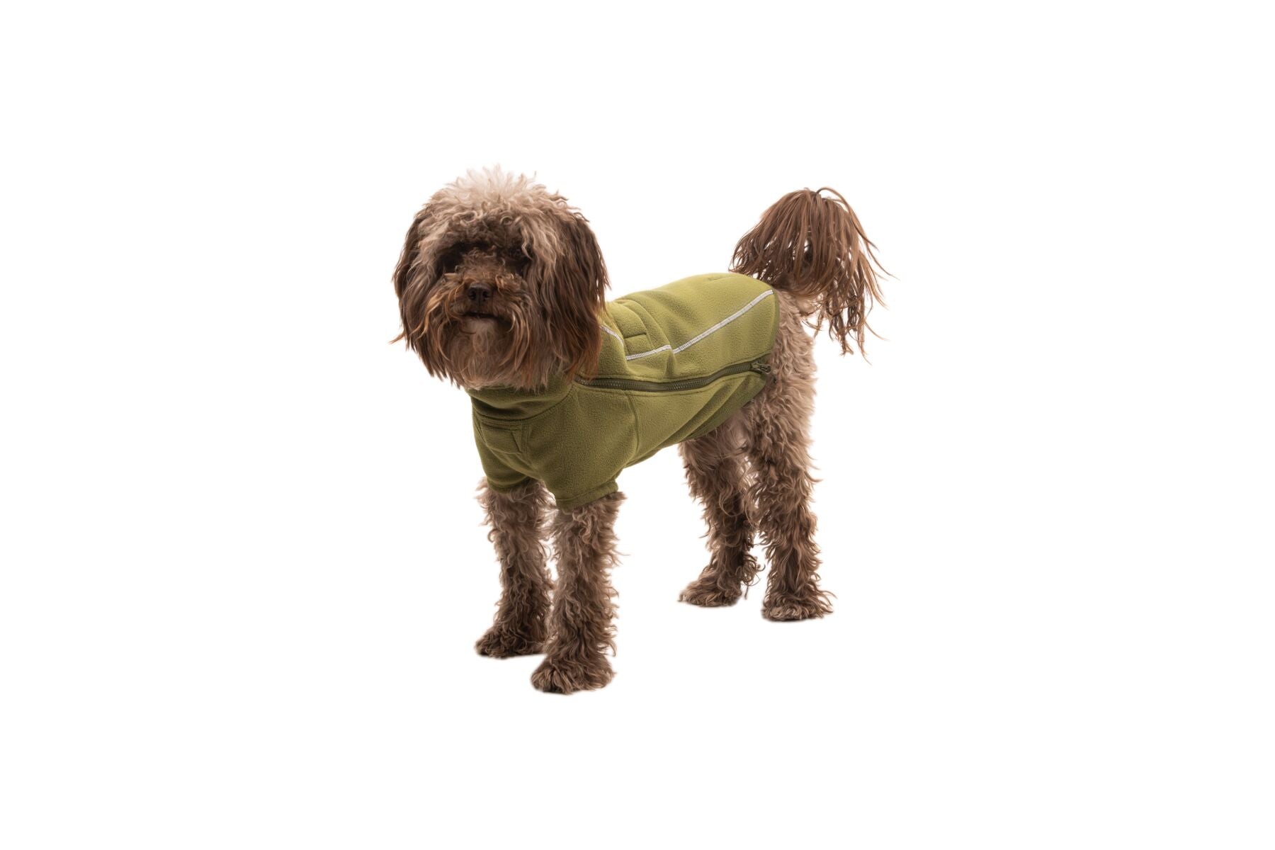 Climate Changer™ Suéter de Felpa Polar para Perros - Verde Cedro (Cedar Green) | Ruffwear
