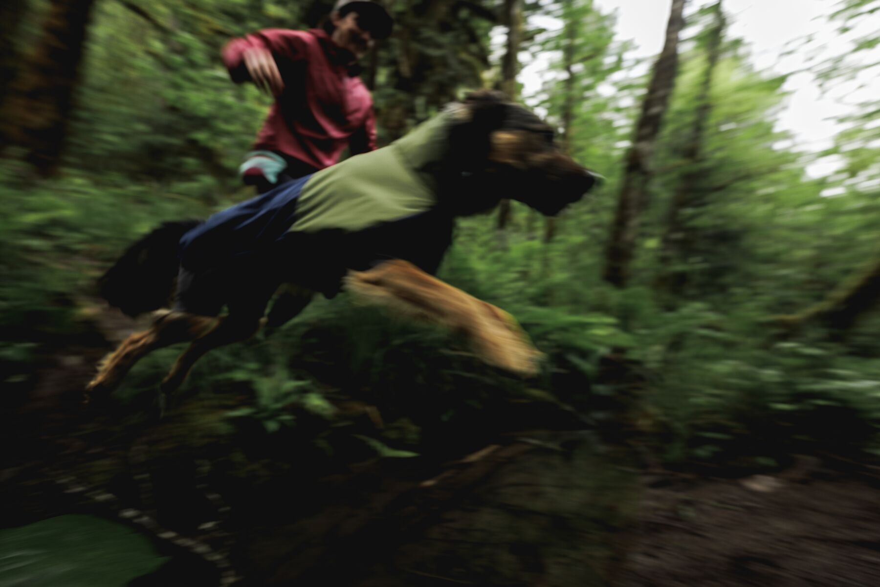 Impermeable Sun Shower™ Coverall (Overall) para Perros - Cobertura Completa y Mangas StormSleeves™ - Verde (Campfire Green) & Azul (Aurora Teal) | Ruffwear®