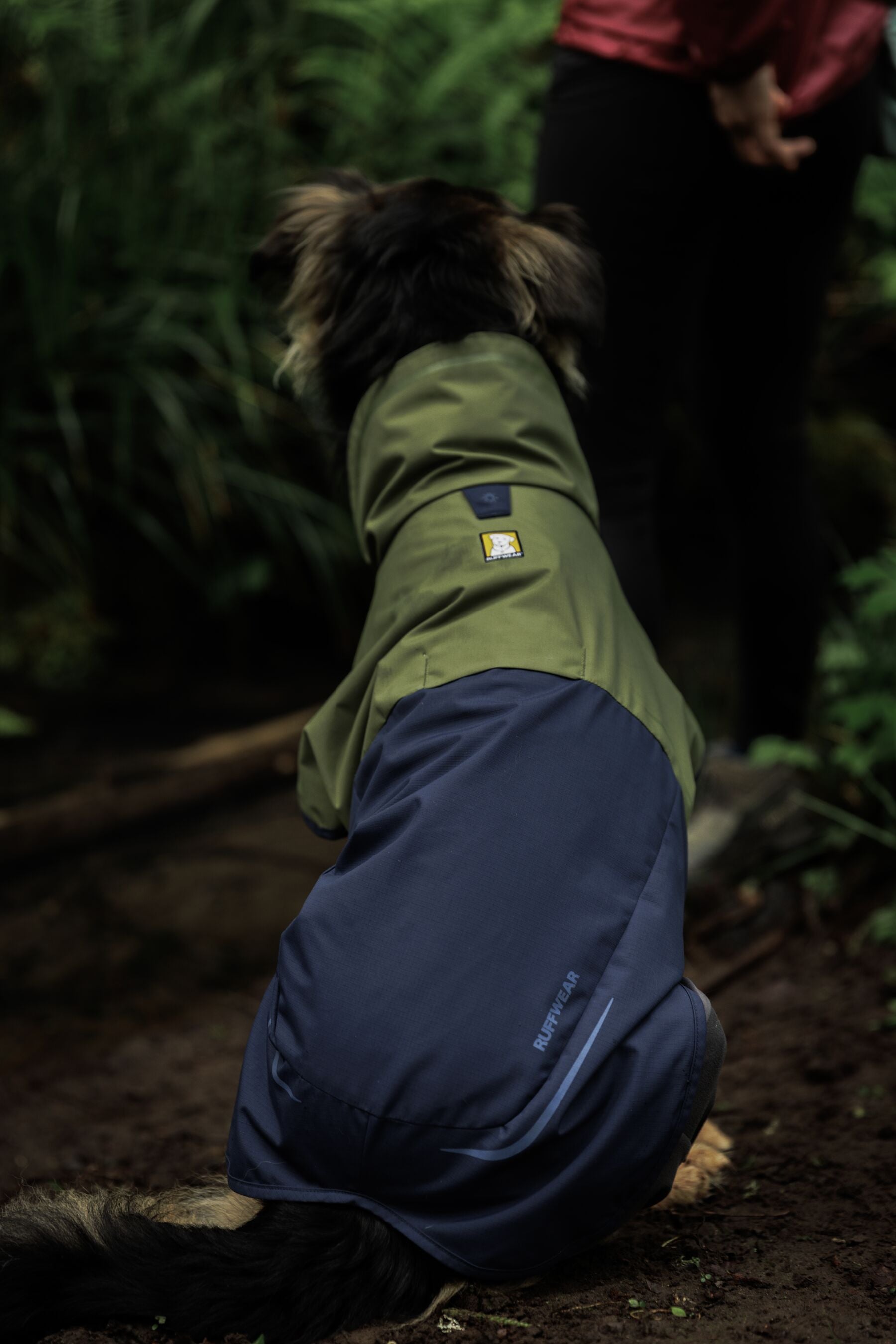 Impermeable Sun Shower™ Coverall (Overall) para Perros - Cobertura Completa y Mangas StormSleeves™ - Verde (Campfire Green) & Azul (Aurora Teal) | Ruffwear®