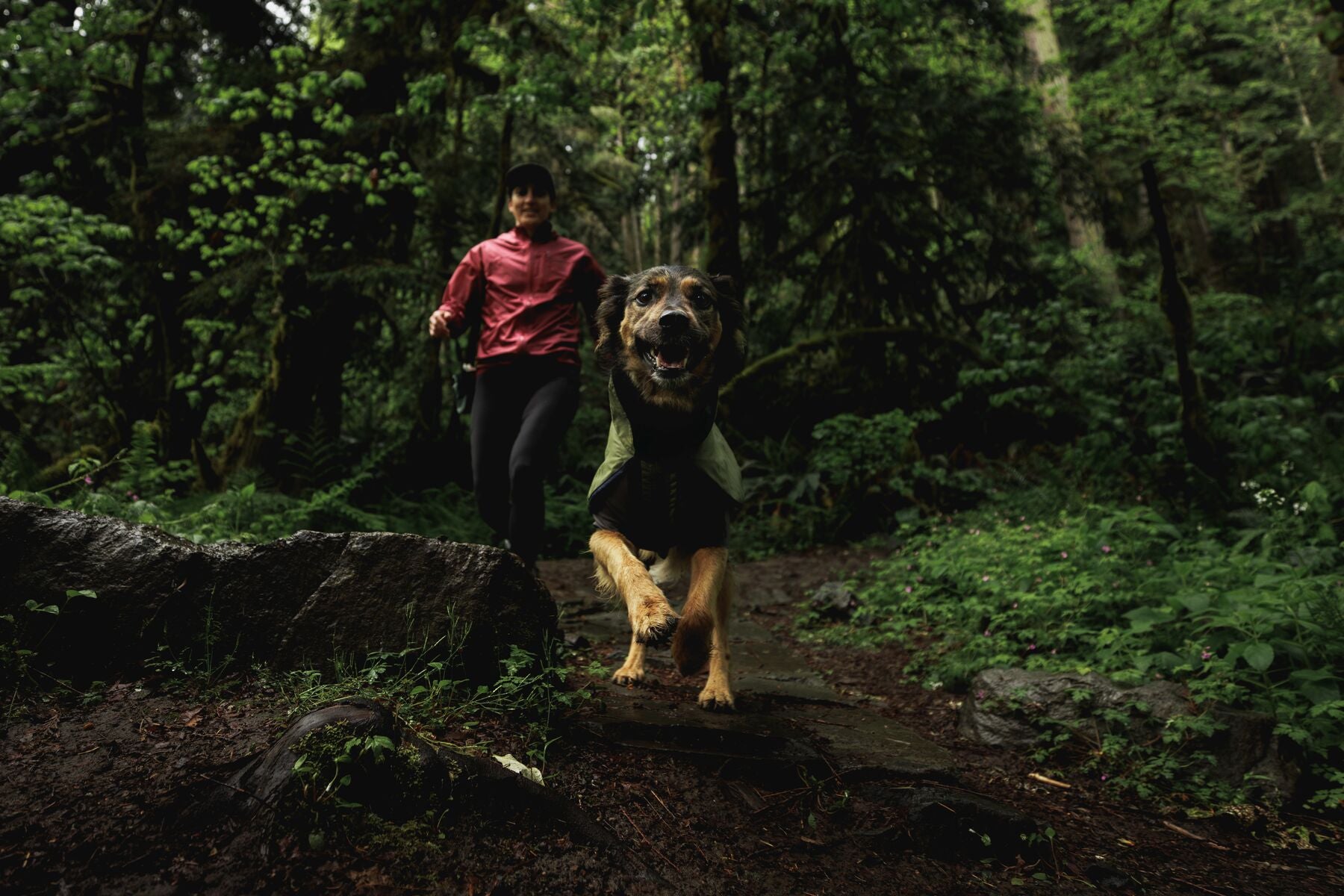 Impermeable Sun Shower™ Coverall (Overall) para Perros - Cobertura Completa y Mangas StormSleeves™ - Verde (Campfire Green) & Azul (Aurora Teal) | Ruffwear®