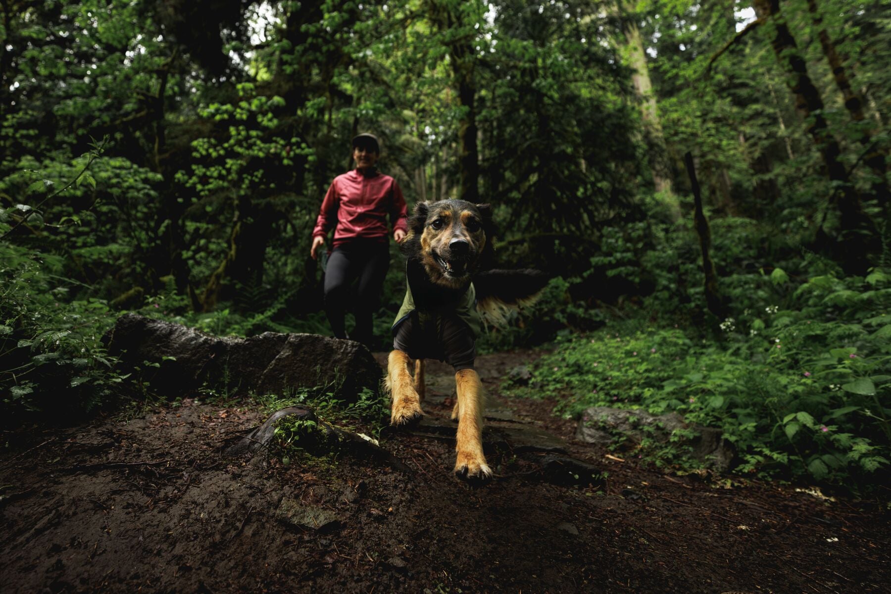 Impermeable Sun Shower™ Coverall (Overall) para Perros - Cobertura Completa y Mangas StormSleeves™ - Verde (Campfire Green) & Azul (Aurora Teal) | Ruffwear®