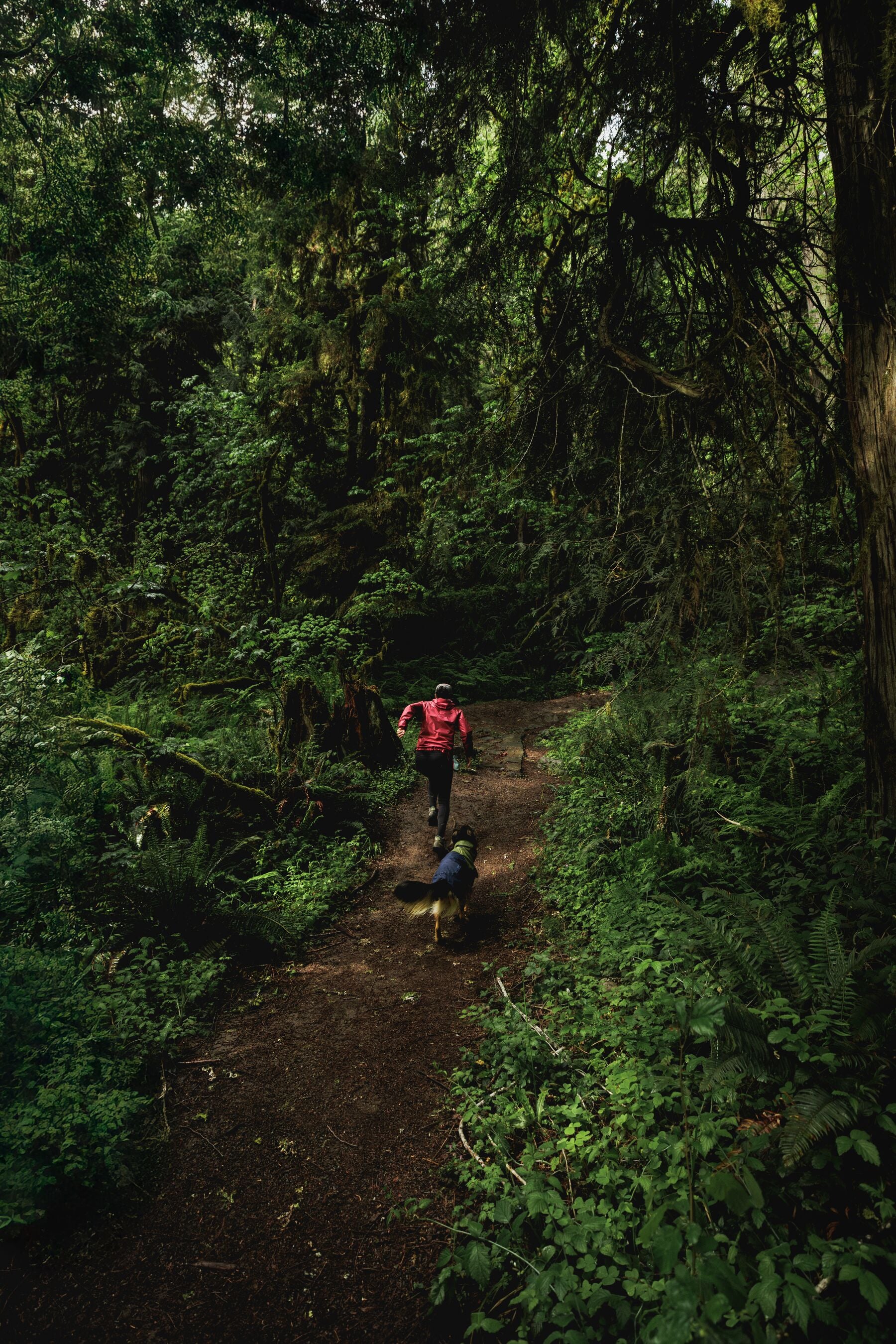 Impermeable Sun Shower™ Coverall (Overall) para Perros - Cobertura Completa y Mangas StormSleeves™ - Verde (Campfire Green) & Azul (Aurora Teal) | Ruffwear®