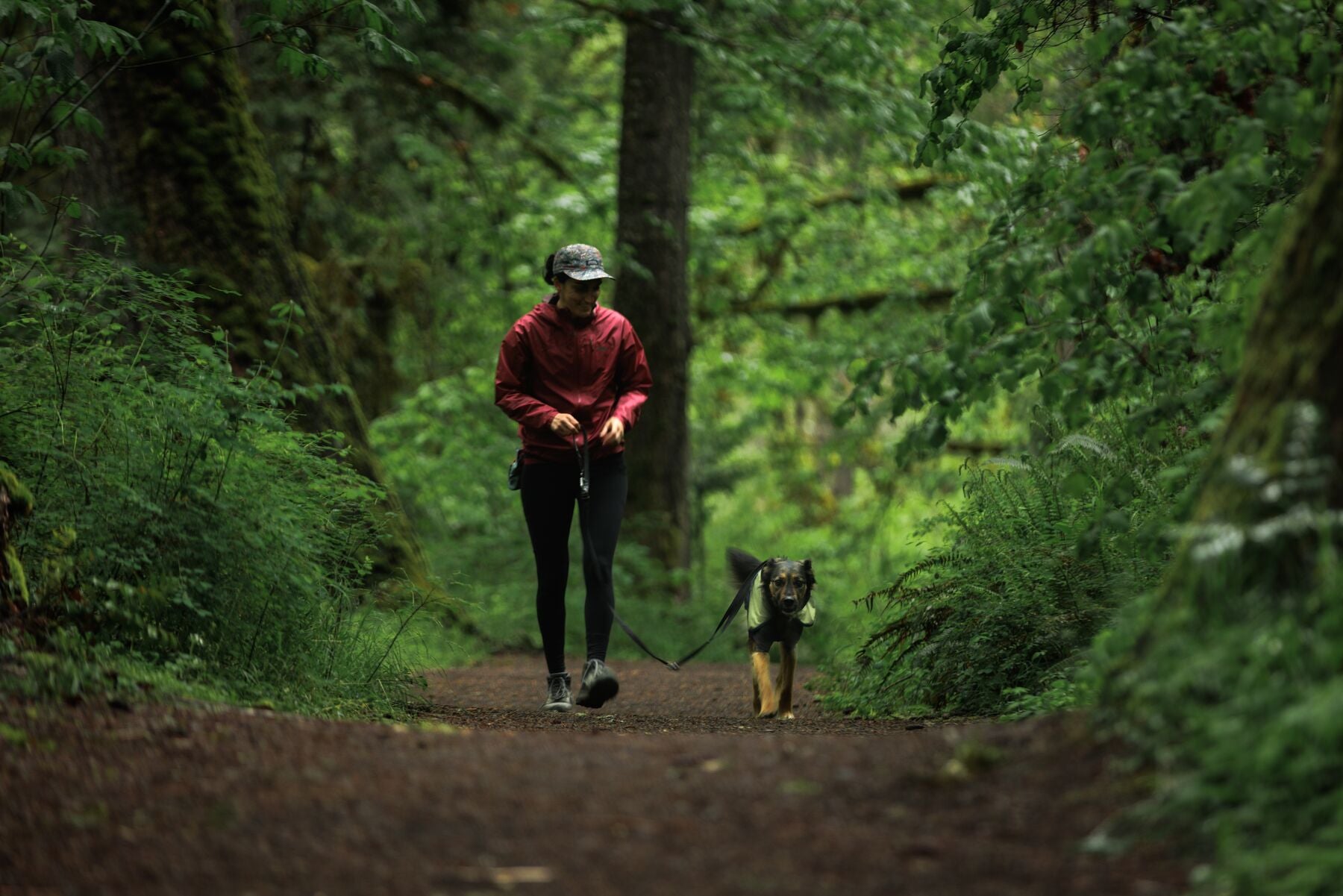 Impermeable Sun Shower™ Coverall (Overall) para Perros - Cobertura Completa y Mangas StormSleeves™ - Verde (Campfire Green) & Azul (Aurora Teal) | Ruffwear®