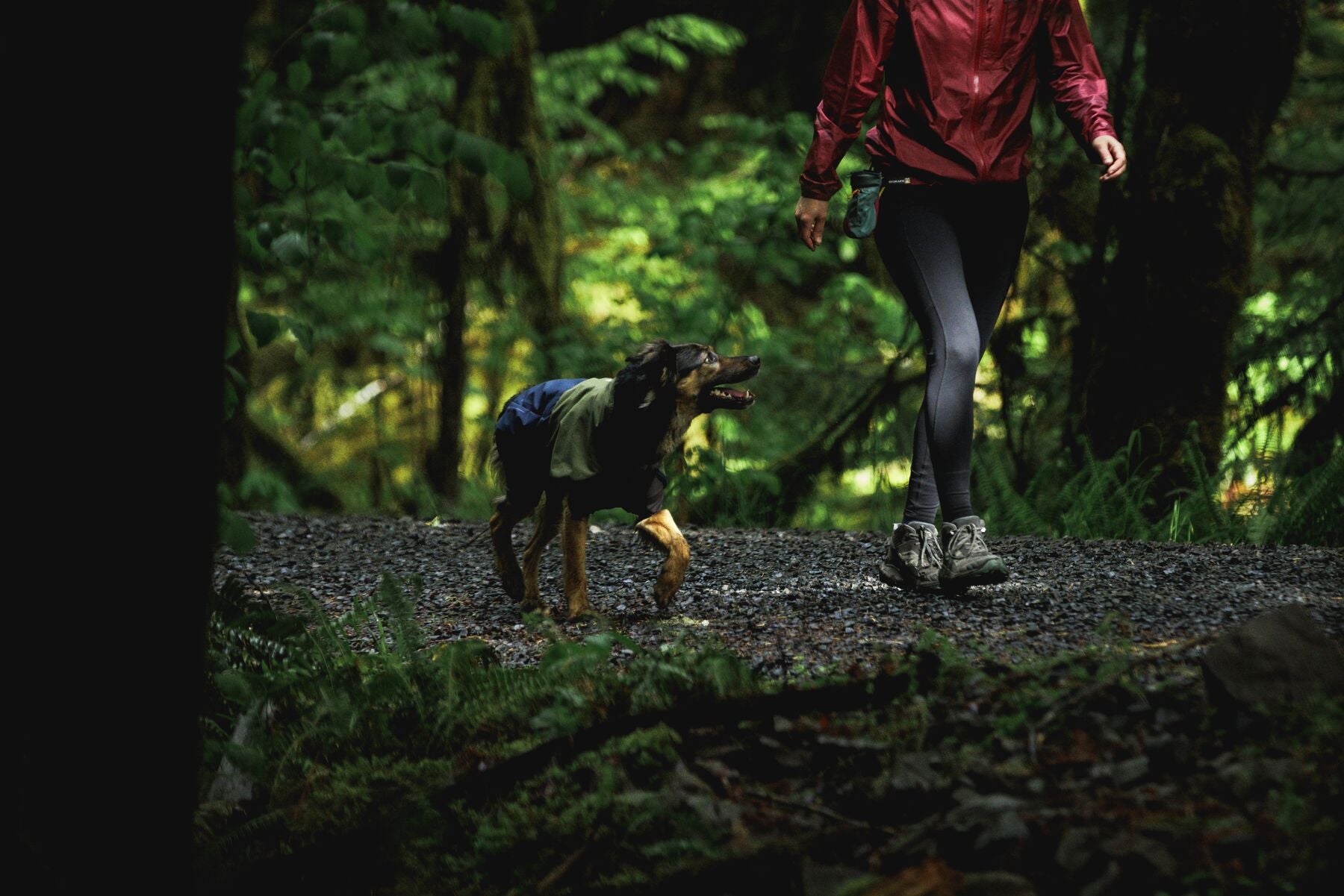 Impermeable Sun Shower™ Coverall (Overall) para Perros - Cobertura Completa y Mangas StormSleeves™ - Verde (Campfire Green) & Azul (Aurora Teal) | Ruffwear®